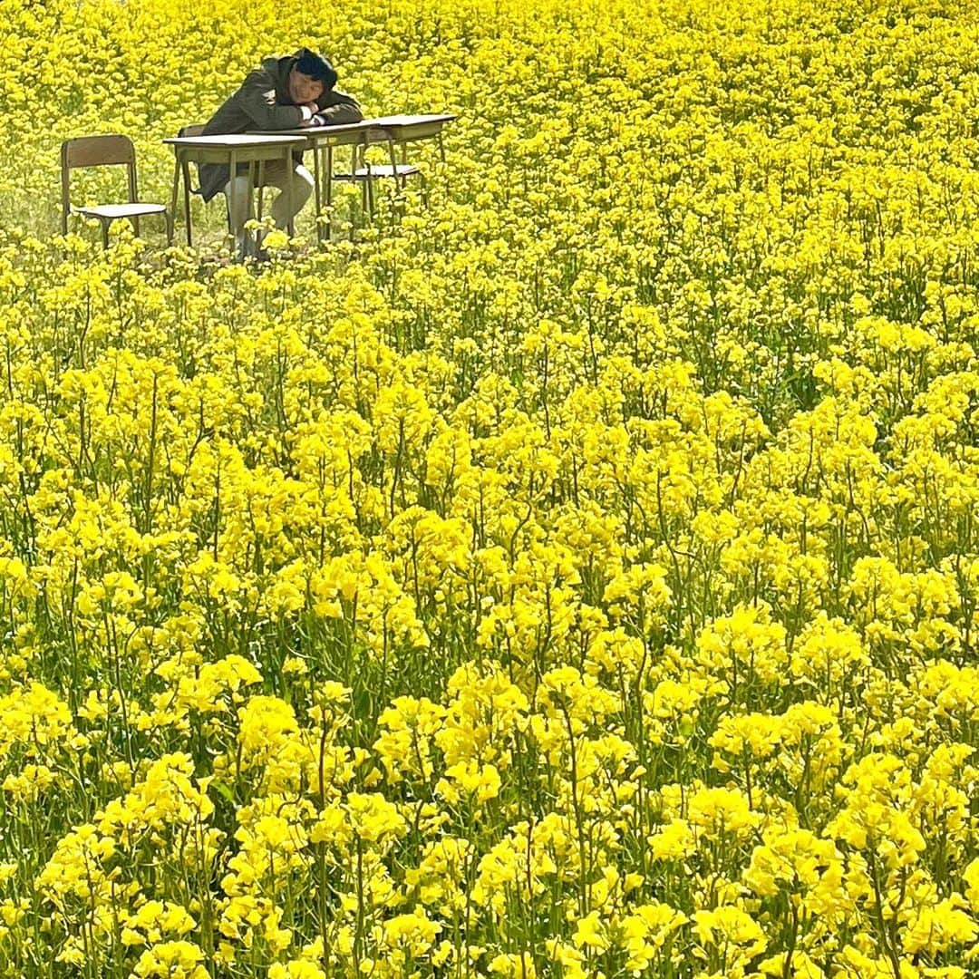 依田司さんのインスタグラム写真 - (依田司Instagram)「4月28日（金） 長野県安曇野市「国営アルプスあづみの公園」から。 北アルプスの麓、安曇野の懐かしい風景を再現した里山文化ゾーンでは、一面に広がる菜の花。その数、およそ５００万本！ 元々あった棚田を有効利用して、菜の花の段々畑となっています。 バス停や学校机、ブランコなどが配置されていて、映え写真スポットも点在。空気も美味しいし、雪を被ったアルプスの山々も最高です。 菜の花の見ごろは来月上旬まで。GW期間中楽しめそうです。  前日には、長野朝日放送の「abnステーション」に出させていただき、中野希友未アナウンサーとチューリップ畑をご紹介させて頂きました。abnの皆様、お世話になりました。  #国営アルプスあずみの公園 #中野希友未 #goslowcaravan #ゴースローキャラバン  #依田さん #依田司 #お天気検定 #テレビ朝日 #グッドモーニング #気象予報士 #お天気キャスター #森林インストラクター #グリーンセイバーアドバンス #プロジェクトワイルド #IPCC伝導者 #japan #japantrip #japantravel #unknownjapan #japanAdventure #japanlife #lifeinjapan #instagramjapan #instajapan #療癒 #ilovejapan #weather #weathercaster #weatherforecast」4月28日 9時44分 - tsukasa_yoda