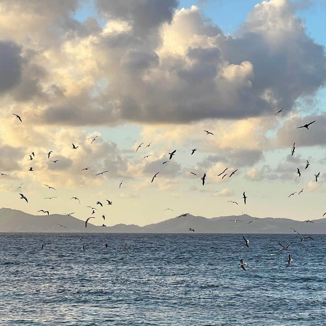 ミッシェルジョナスのインスタグラム：「#mustique #memories 🌊✨」