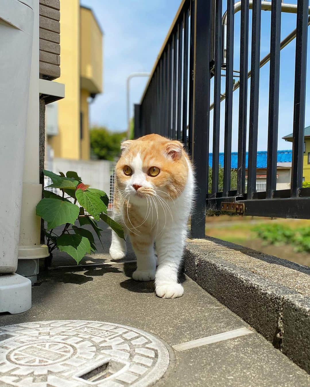 もちさん / mochiのインスタグラム