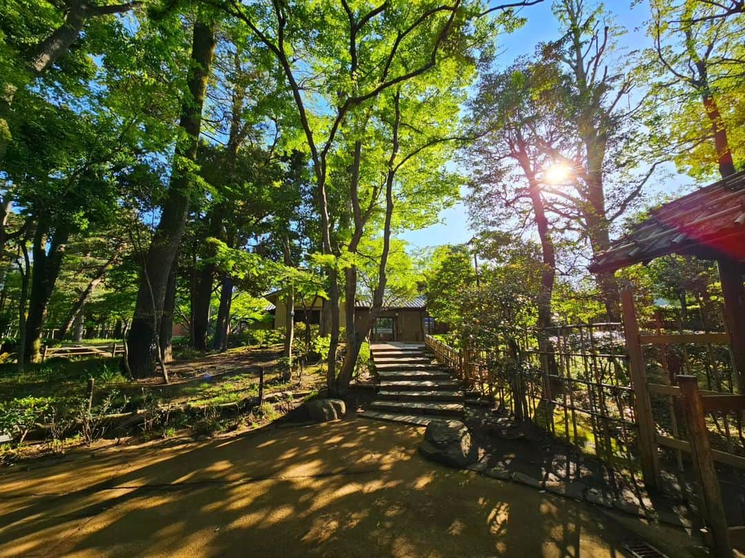 Shihoさんのインスタグラム写真 - (ShihoInstagram)「昔から大好きな公園。 日本で最初の音楽評論家、大田黒元雄氏の邸宅だった大田黒公園。 緑の季節は特に心地良い場所。  #大田黒公園 #公園 #park #strolling #takeawalk #sunnyday #散歩 #singerslife」4月28日 5時43分 - fried_pride_shiho