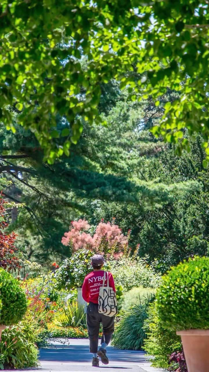ニューヨーク植物園のインスタグラム