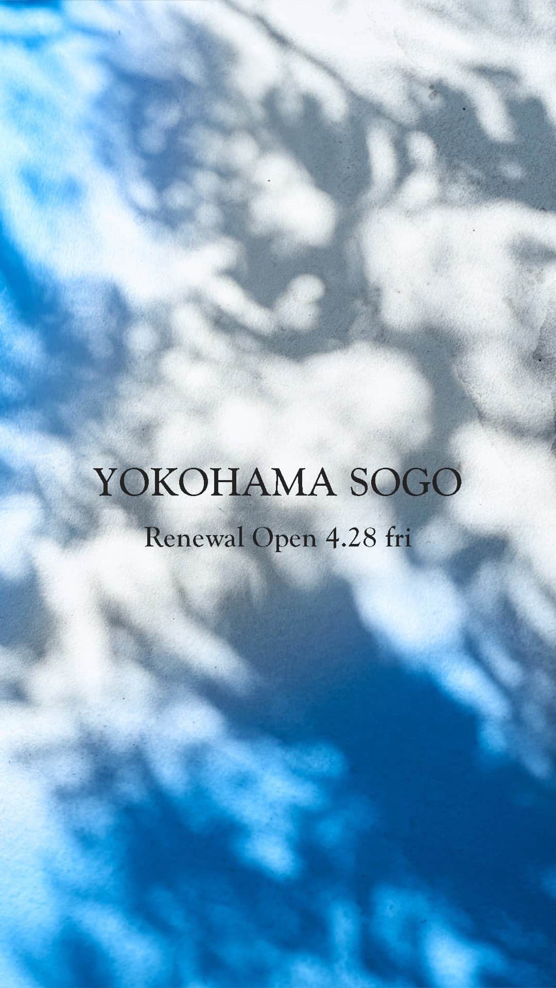 ロペのグルメインスタ