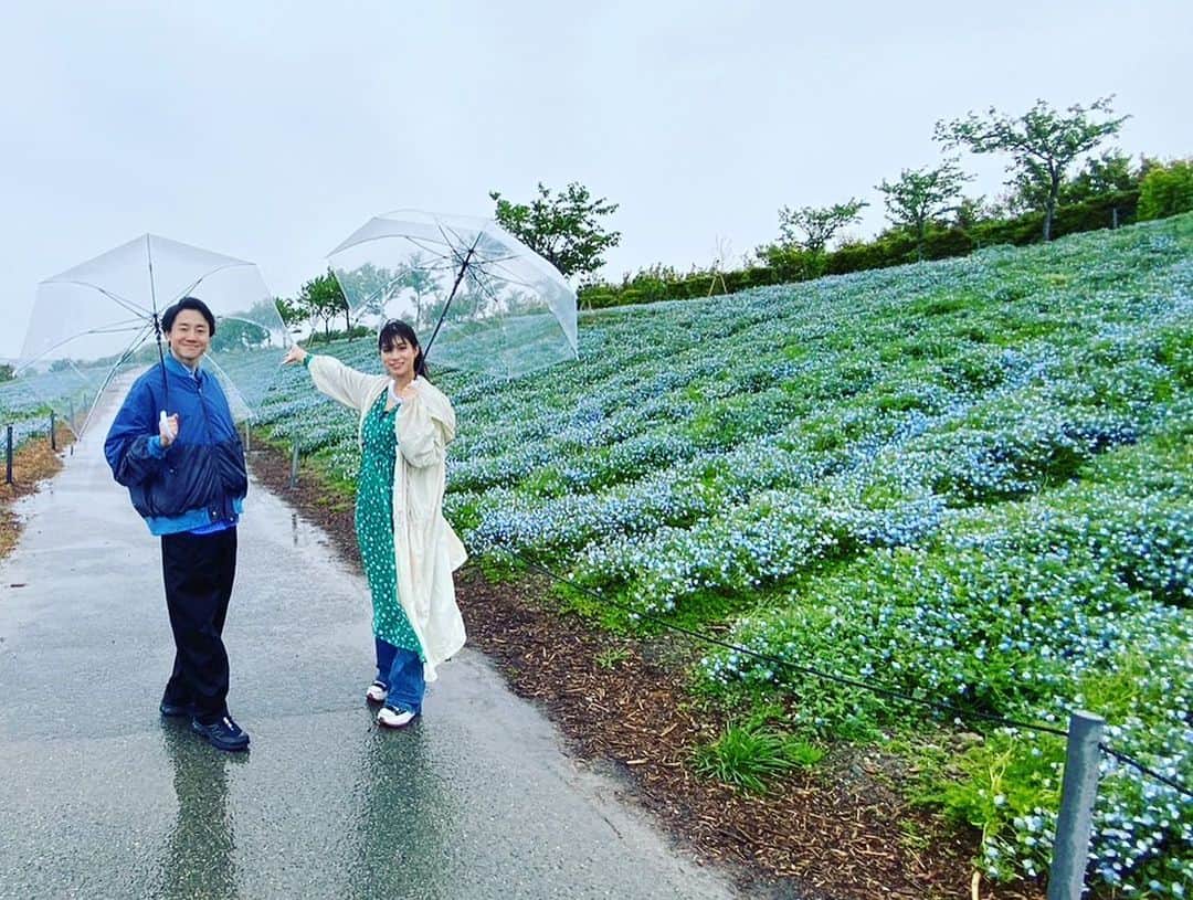 朝日放送「おはよう朝日土曜日です」さんのインスタグラム写真 - (朝日放送「おはよう朝日土曜日です」Instagram)「青い絨毯〜✨ #GW#おすすめスポット#大阪市#舞洲#ネモフィラ#グランフロント大阪#ゲーマーしんぺー#全集中#ボタン連打#目指せ高橋名人 #土日どーする #4月29日放送#見てね  #おは土#おはよう朝日土曜日です#ABCテレビ #北村真平#ABCアナウンサー #高樹リサ」4月28日 20時10分 - ohado6ch