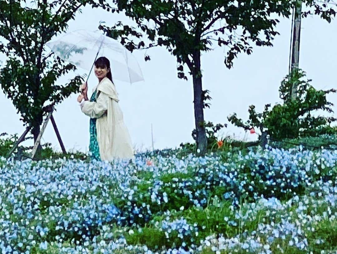 朝日放送「おはよう朝日土曜日です」さんのインスタグラム写真 - (朝日放送「おはよう朝日土曜日です」Instagram)「青い絨毯〜✨ #GW#おすすめスポット#大阪市#舞洲#ネモフィラ#グランフロント大阪#ゲーマーしんぺー#全集中#ボタン連打#目指せ高橋名人 #土日どーする #4月29日放送#見てね  #おは土#おはよう朝日土曜日です#ABCテレビ #北村真平#ABCアナウンサー #高樹リサ」4月28日 20時10分 - ohado6ch