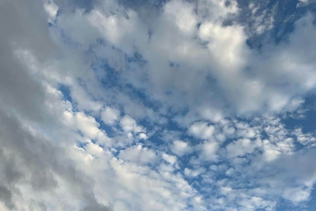 冨永裕輔さんのインスタグラム写真 - (冨永裕輔Instagram)「雨上がりの空が 本当に美しくて 思わず、忘れていた笑顔がこぼれた 君に見せてあげたいと思った でもきっと 君も同じ空を見ていると、思った 美しい空を 美しい瞳と心に映す君の姿が 浮かんできたんだ 雲間から金色の太陽が輝き 強すぎないその光が 濡れたアスファルトを 優しく包んでいた 朝から憂鬱な雨の日も 夕暮れには こんなに素敵なプレゼントを 用意してくれていたりするものだ だから人生は捨てたものじゃないと思った だから、人生は捨てたらいけないと思った どんなに気持ちが落ち込むような時も 永遠には続かない そしてこれからぼくが歩むべき道を 射し示すように まるで地表から光の柱が立ち上がるように 穏やかな光の粒子が ぼくの眼前につづく道を照らしていた  #ポエム #詩 #文学 #冨永裕輔 #空 #雨上がり #人生 #道」4月28日 20時10分 - yusuketominaga_official