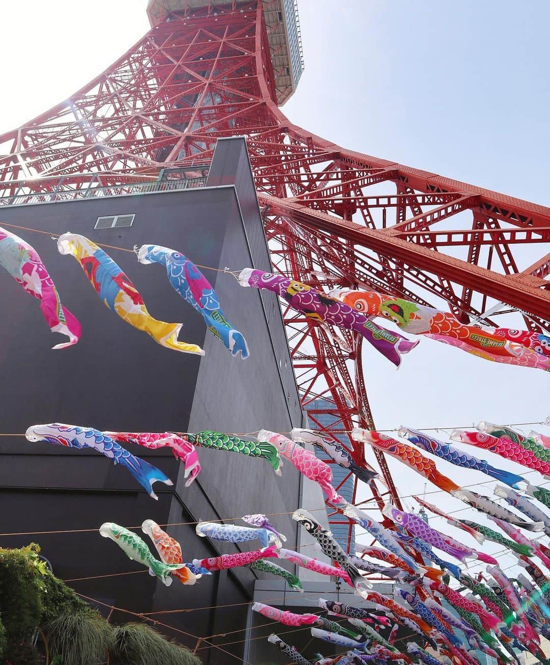 高橋晴香さんのインスタグラム写真 - (高橋晴香Instagram)「東京タワーとセサミストリートが初コラボ🗼❤️💙🍪 ⁡ ⁡ 「We Belong」のイベントやってたよ🌈 ⁡ ⁡ エルモたちのカラフルな鯉のぼりがいっぱい🎏 ⁡ ⁡ 綺麗で思わずパチリ✨ ⁡ ⁡ 今日からオープンのポップアップストアも、可愛いグッズが盛り沢山だった🥰 ⁡ ⁡ マグカップ・bag・お皿とかあったよ☕︎ ⁡ ⁡ まだここでしか買えないグッズもあるみたいだから要チェック👌 ⁡ ⁡ 5月7日までの期間限定らしく、気になる方は足を運んでみてね☺️🤍 ⁡ ⁡ メインデッキ1階の大型モニターでセサミストリート「We Belong わたしたちのうた」のミュージックビデオも見れるみたい❣️ ⁡ ⁡ 入場無料だよ💗 ⁡ ⁡ ⁡ #キャラウォーカー #セサミストリート #SesameStreet #エルモ #WeBelong #東京タワー #PR #クッキーモンスター #期間限定 #期間限定イベント #tokyotower」4月28日 20時15分 - haruka_takahashi0127