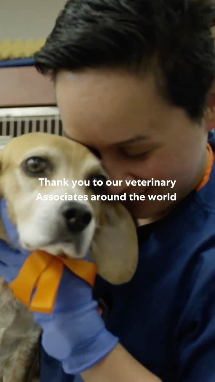 Marsのインスタグラム：「On the eve of World Veterinary Day, we want to say thank you to our veterinary Associates for living our Purpose — #ABetterWorldForPets — while also supporting pet owners and the planet. The job you do means happier, healthier lives for our furriest friends.」