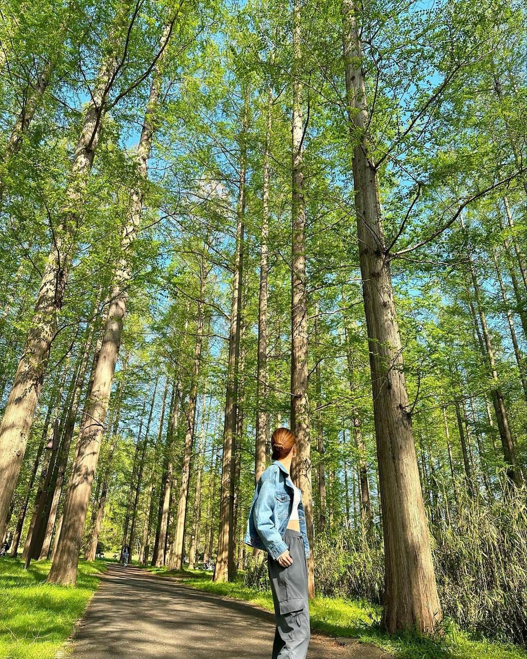 SAYUKAさんのインスタグラム写真 - (SAYUKAInstagram)「🌲🌲🌲☀️  #森林浴」4月28日 19時05分 - sayumiso216