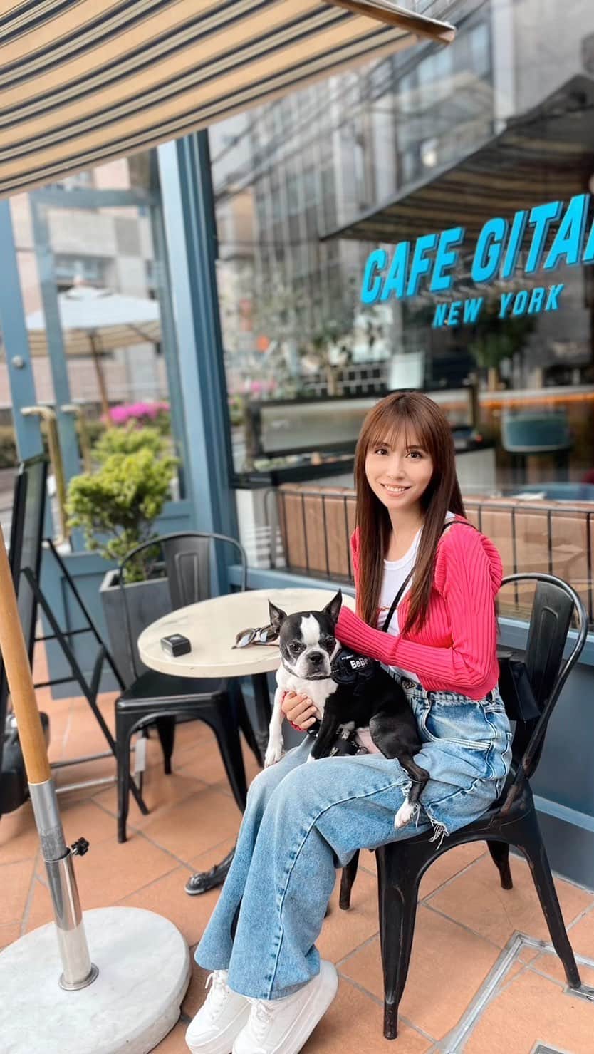 May J.のインスタグラム：「Lunch with my bestie’s doggy 💗 親友のワンちゃんのBeBeちゃんも一緒にランチ🍝 #dogsofinstagram  #ボストンテリア #bostonterrier  #dog  #犬」