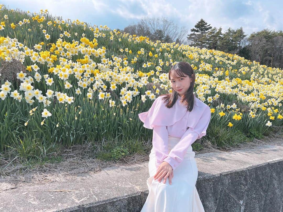 児玉祐莉乃さんのインスタグラム写真 - (児玉祐莉乃Instagram)「春ってお花畑いっぱいでいいよね〜💐  #スイセン#スイセン畑#お花畑#model#me#flower#narcissus#名古屋#名古屋モデル#ヘアモデル#ootd#셀스타그램#여행」4月28日 19時22分 - yurinodesu