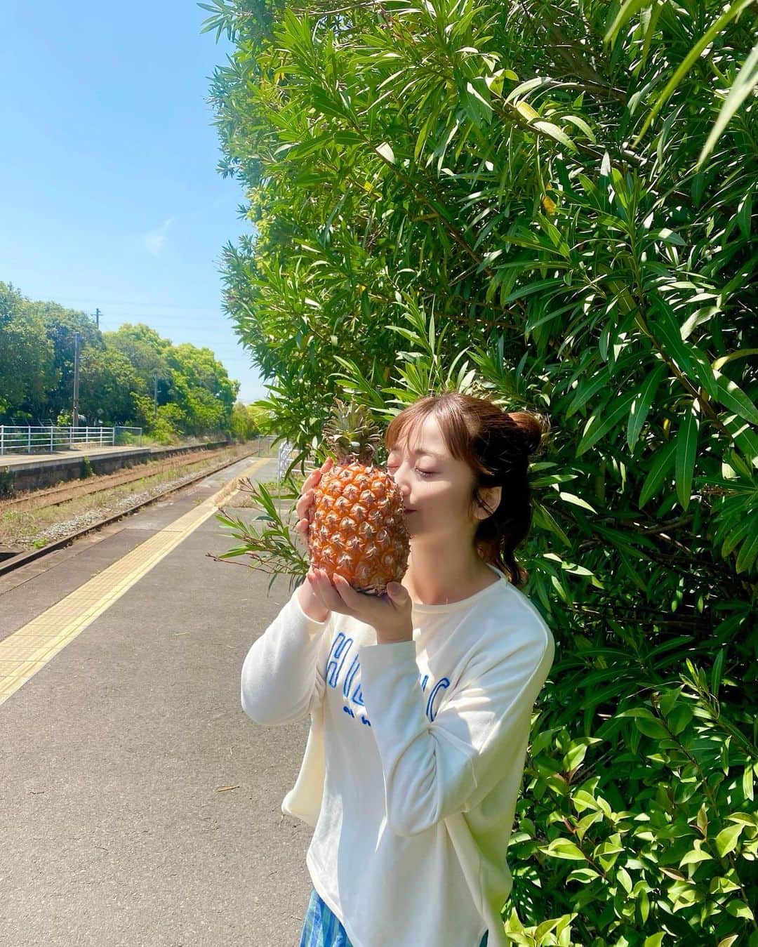YUMIのインスタグラム：「【衝撃的美味しさ😭💕】  台湾パイン、、食べたことある？😍🍍  時々買って食べるんやけど、芯まで甘いし パイナップル特有のピリピリ感はゼロ😳 めちゃくちゃ美味しいんよ〜〜！😭✨  ころんとしててかわいいし、 切る前からいい香り🤤 帰り着く前につい嗅ぎたくなるくらい😂  九州地区のイオンとかマックスバリュで 買えるよ！！！🍍💓  私はホワイトニングサロンの隣の マックスバリュでGetした👀✌️ （美味しすぎて、2個目購入😂🍍🍍）  パイン丸々1個ってハードル高いな〜って 思う人も多いかもしれんけど、 柔らかくてカットするのも簡単😍👌  我が家のポンコツ包丁でもサクッと 切り分けられる🙆‍♀️  ダイエットとか美容にも良いっていうし ぜひ食べてみて欲しい🤤✨  #イオン九州 #台湾パイナップル#美容 #パイナップル#台湾パイン#台湾#pr」