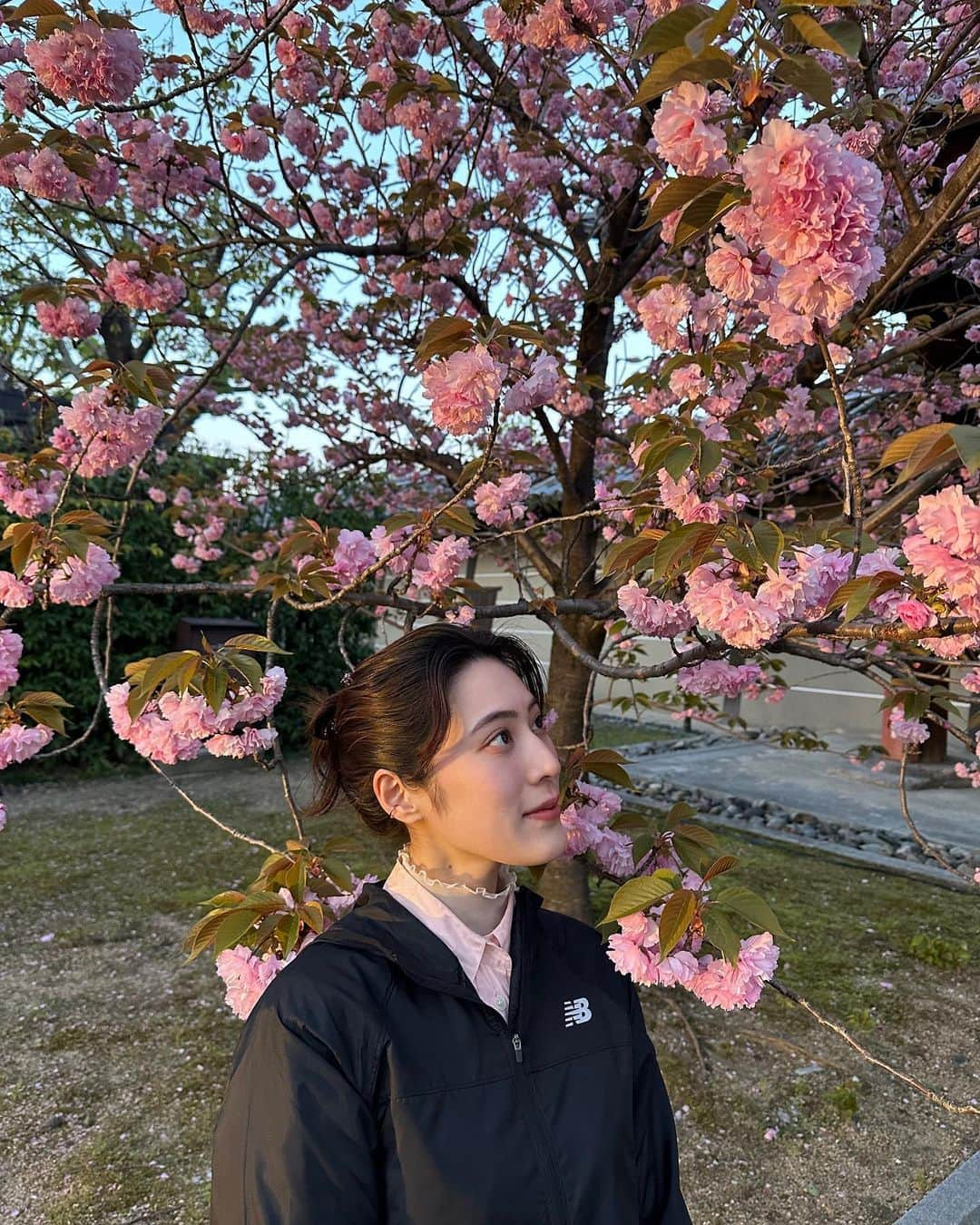 土井悠のインスタグラム：「( ･ᴗ･ )♡ 桜餅みたい#八重桜」