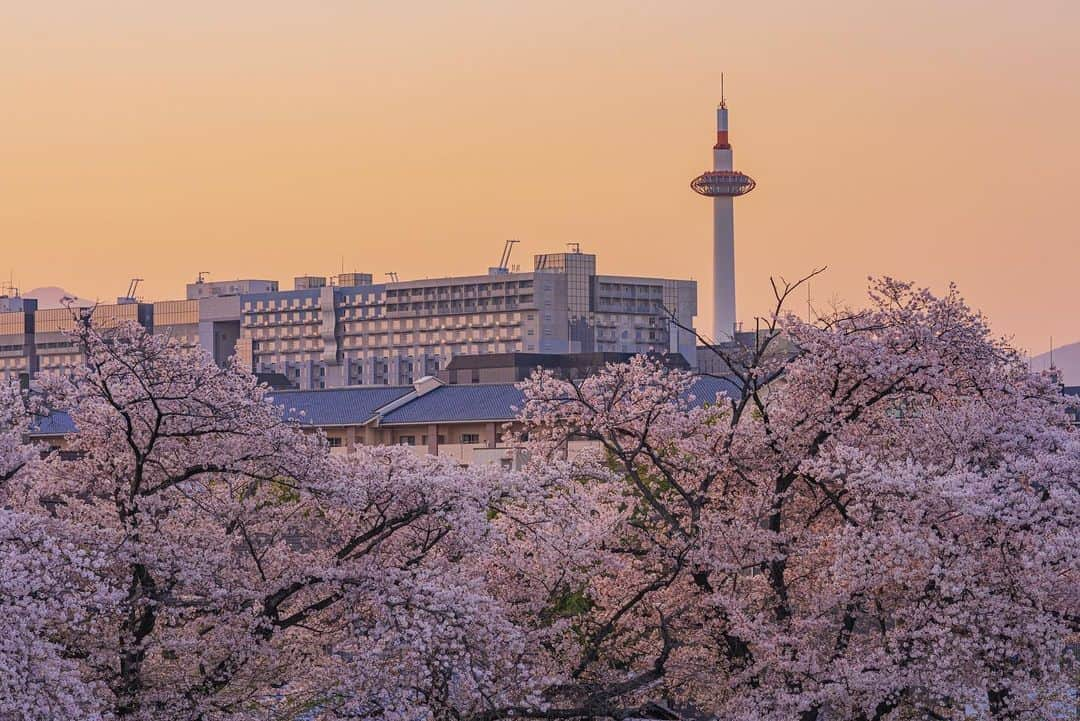 京都タワーのインスタグラム