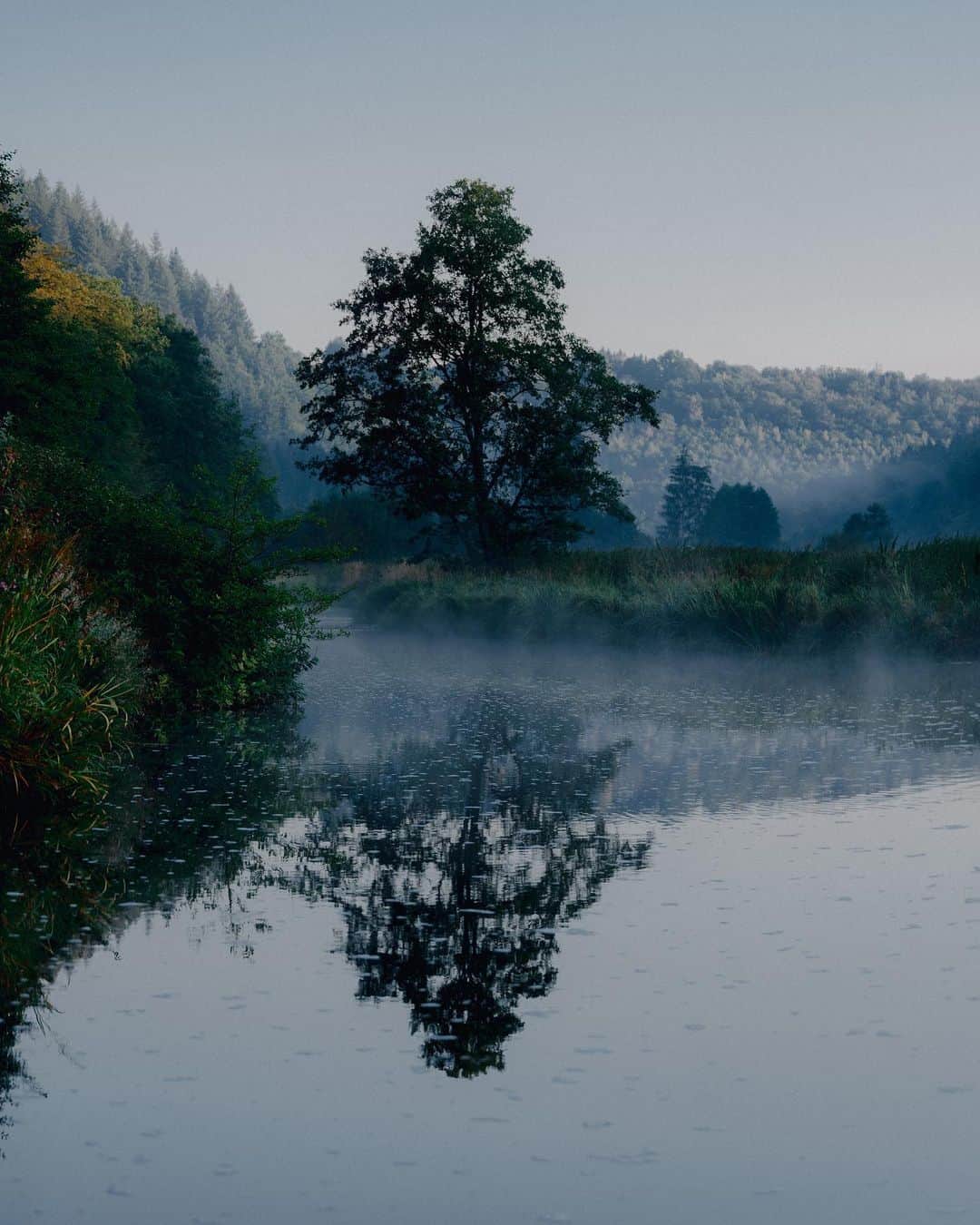 Kinfolk Magazineのインスタグラム：「Misty morning 🌫️🌳 Immerse yourself in worlds of outstanding natural beauty with Kinfolk Wilderness—our new book of inspiring slow travel itineraries exploring the great outdoors. Pictured: The sylvan splendor of the Belgian Ardennes, captured on an early morning horseback ride.🐴 Order your copy at Kinfolk.com/shop (Photo: @martin.pauer)」