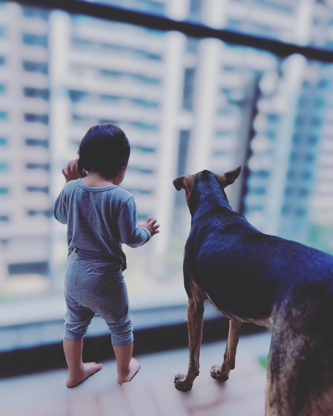 Lego Liのインスタグラム：「👶🏻🐶🫂」