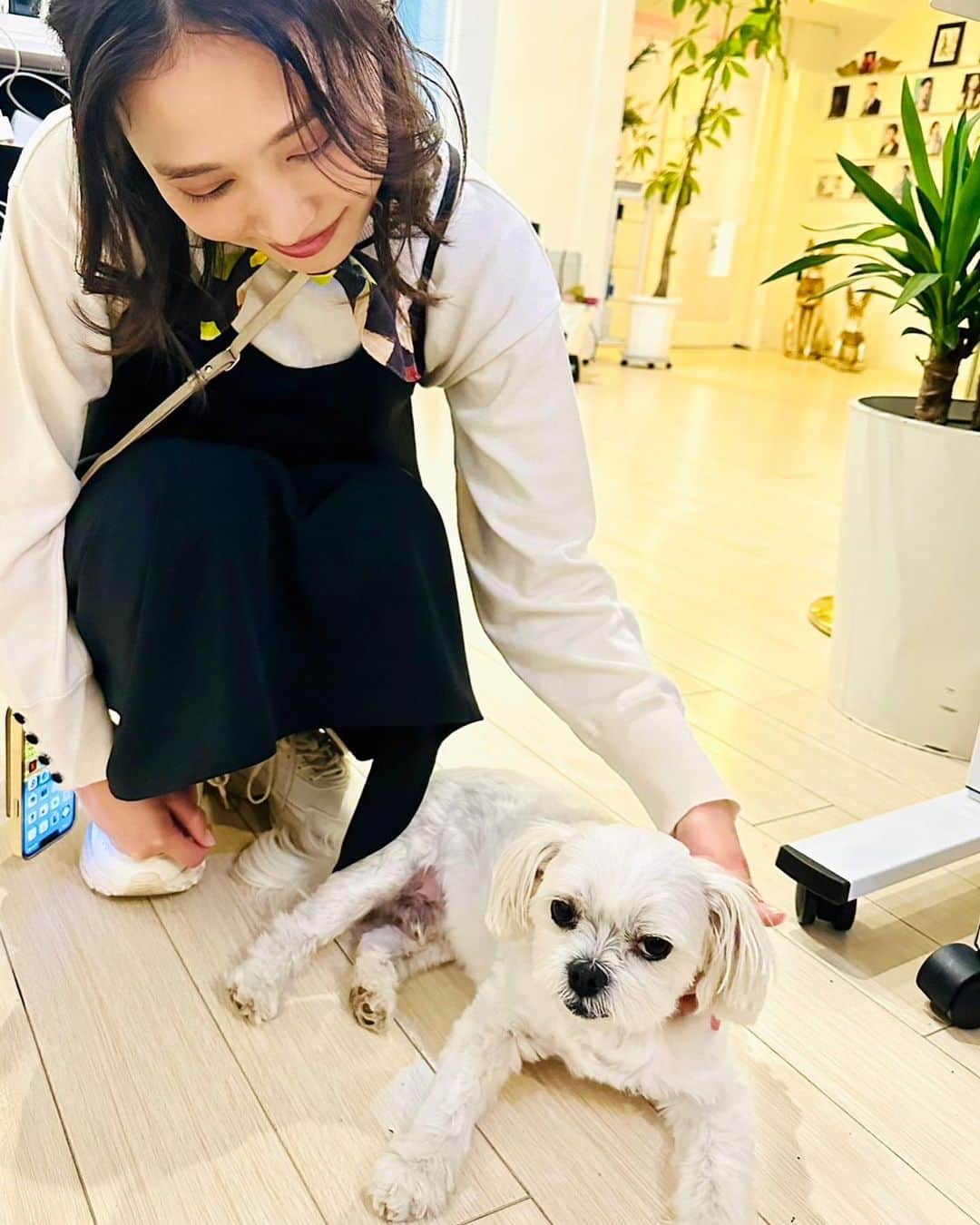 前田友香のインスタグラム：「犬と私  デービット かわいすぎる♡  #犬と私 #犬 #dog」