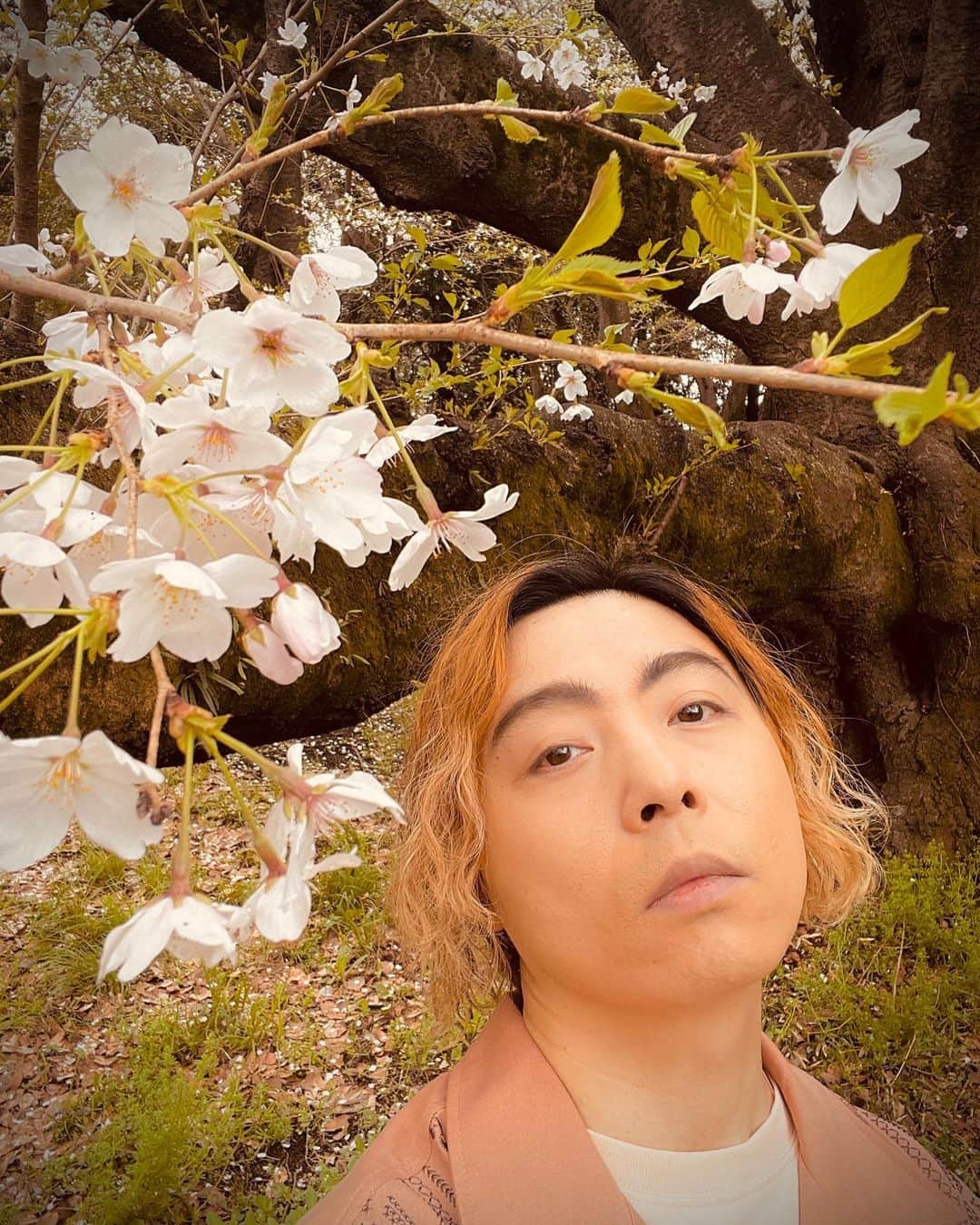 のインスタグラム：「#ENDRECHERI  #眉毛 #eyebrows」