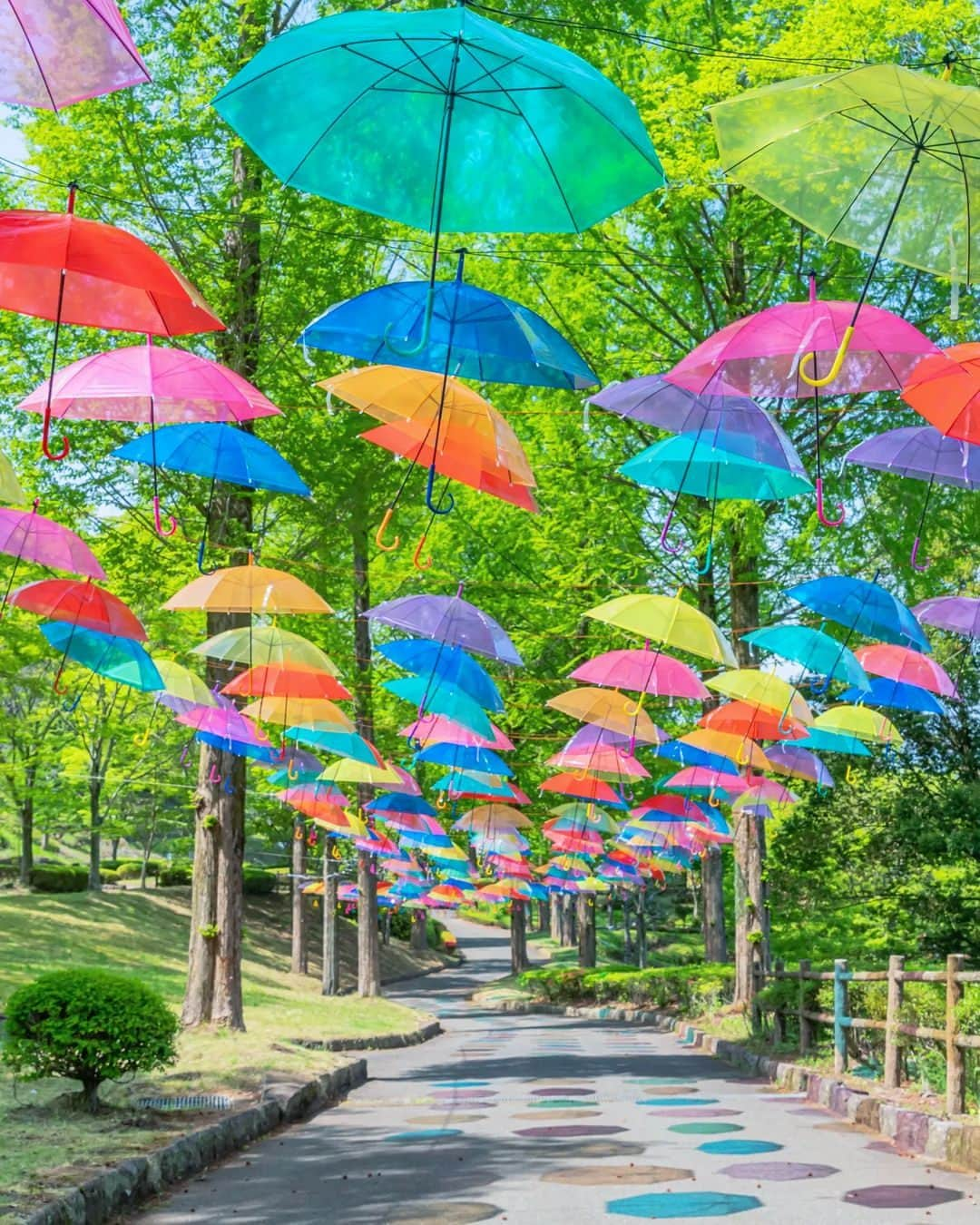 楽天トラベル さんのインスタグラム写真 - (楽天トラベル Instagram)「こんばんは😊 今日は天気の良い日に行きたい群馬県のカラフルな場所を2箇所ご紹介します✨  ーーーーーーーーーーーーーー  📍#甘楽総合公園 群馬県甘楽郡 70mに渡る350本の傘が展示されている「アンブレラスカイ」。 今年も4月下旬から5月下旬まで開催中！ カラフルな７色の傘は地面に映った影もあざやかです🌂  📍#宝徳寺 群馬県桐生市 境内に4500個の風ぐるまを飾る「風ぐるま　幸転祈願」。 鯉のぼりもなんと500匹もいるんです😯  ーーーーーーーーーーーーーー  Special Thanks💓 📸Photo by @takephoto.official  ーーーーーーーーーーーーーー  📌ご旅行やおでかけの際は、事前にお住まいの地域や旅行先の情報を確認しご計画をお願いいたします  ーーーーーーーーーーーーーー  旅先で出会った美しい風景や素敵な旅館などを#rakutentravel のハッシュタグや@rakutentravelのメンションを付けてぜひシェアしてください😊  このアカウントや旅のウェブマガジン「楽天トラベルガイド」でも紹介します💗  『次の旅行で行きたい』スポットを紹介するインスタマガジン♡是非フォローもお願いします ✨ @rakutentravel  ーーーーーーーーーーーーーー」4月28日 18時00分 - rakutentravel