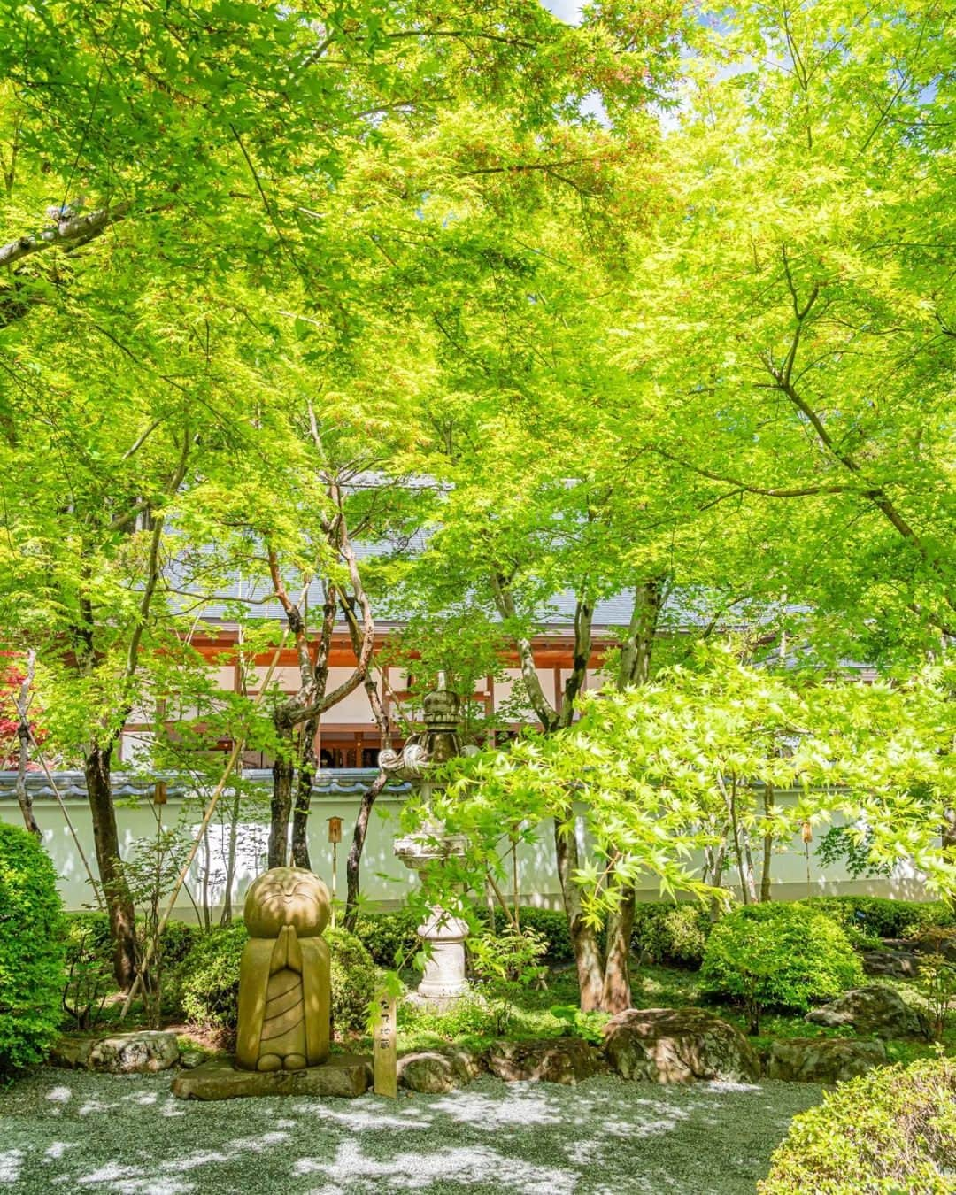 楽天トラベル さんのインスタグラム写真 - (楽天トラベル Instagram)「こんばんは😊 今日は天気の良い日に行きたい群馬県のカラフルな場所を2箇所ご紹介します✨  ーーーーーーーーーーーーーー  📍#甘楽総合公園 群馬県甘楽郡 70mに渡る350本の傘が展示されている「アンブレラスカイ」。 今年も4月下旬から5月下旬まで開催中！ カラフルな７色の傘は地面に映った影もあざやかです🌂  📍#宝徳寺 群馬県桐生市 境内に4500個の風ぐるまを飾る「風ぐるま　幸転祈願」。 鯉のぼりもなんと500匹もいるんです😯  ーーーーーーーーーーーーーー  Special Thanks💓 📸Photo by @takephoto.official  ーーーーーーーーーーーーーー  📌ご旅行やおでかけの際は、事前にお住まいの地域や旅行先の情報を確認しご計画をお願いいたします  ーーーーーーーーーーーーーー  旅先で出会った美しい風景や素敵な旅館などを#rakutentravel のハッシュタグや@rakutentravelのメンションを付けてぜひシェアしてください😊  このアカウントや旅のウェブマガジン「楽天トラベルガイド」でも紹介します💗  『次の旅行で行きたい』スポットを紹介するインスタマガジン♡是非フォローもお願いします ✨ @rakutentravel  ーーーーーーーーーーーーーー」4月28日 18時00分 - rakutentravel