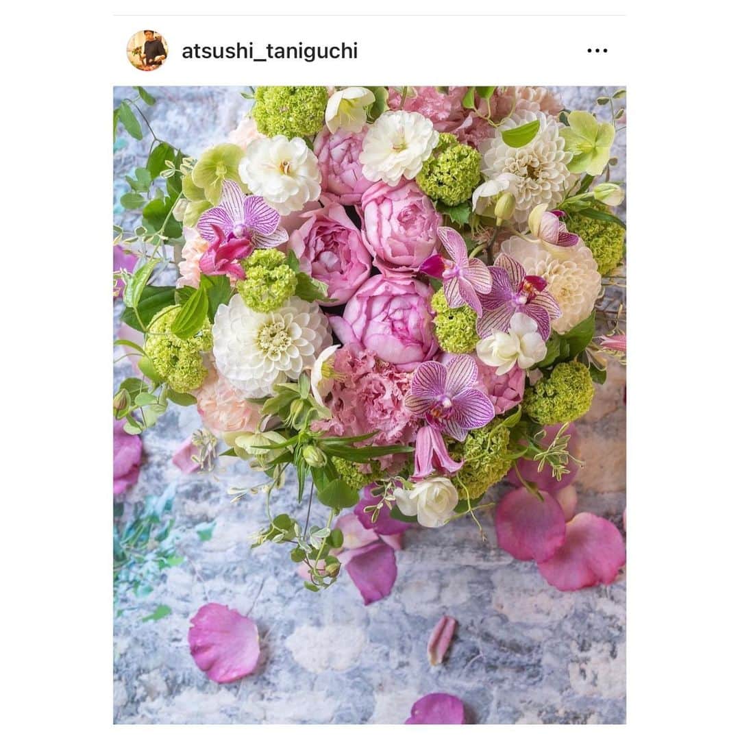 藤森香衣さんのインスタグラム写真 - (藤森香衣Instagram)「- アイロニーのお花💜 @jardinduillony   ともちゃんたちに贈ったお花は「紫の花束」 というオーダーで お願いしました。 柔らかいお花で、可愛い。  アイロニーは作ったブーケやアレンジメントを 送り主にも写真で送ってくれるので 相手にどんな物が届くか分かるのが良い😊  2枚目にあるのは、アイロニーの 【母の日 アレンジメント】の一部。 @atsushi_taniguchi  (何種類かありました)。  若い人たちに知っておいて頂きたいのは… 親はいつまでも同じ状態ではなく、  ・欲しい物が減っていく ・出来ること、行かれる場所も減って行く  ということ。  小さなことでもいいから、親孝行をしたいなら やっておく… それは親のためもあるけど = "未来の自分"が後悔しないために。  #花 #フラワーアレンジメント  #花束 #ブーケ #プレゼント #ギフト #母の日」4月28日 12時56分 - kaefujimori
