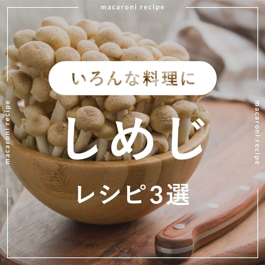 macaroniのインスタグラム