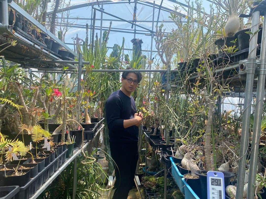 宇治清高さんのインスタグラム写真 - (宇治清高Instagram)「What do you think of this photo? Isn’t it Insta worthy? #garden #caudex  #plants」4月28日 14時20分 - kiyotaka_uji