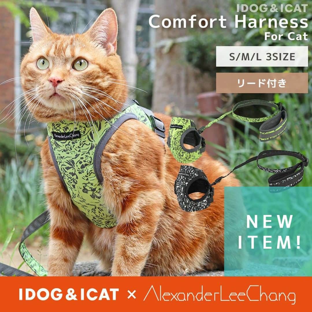 iDog&iCatのインスタグラム