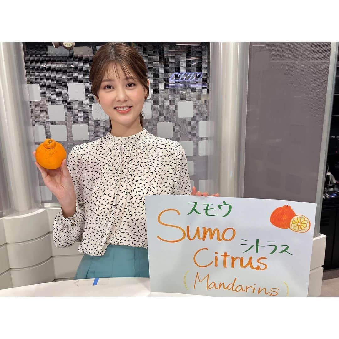 佐藤梨那さんのインスタグラム写真 - (佐藤梨那Instagram)「🍊  今週はヒルナンデスニュース 水曜、金曜を担当しました🫧  いま旬を迎えている デコポン。  アメリカでは Sumo citrus という名前で 売られているんですって🍊  世界のデコポン 食べ比べてみたい…🤤  #デコポン🍊   #nolleys  #laboutiquebonbon  #MilaOwen」4月28日 14時39分 - sato_lina