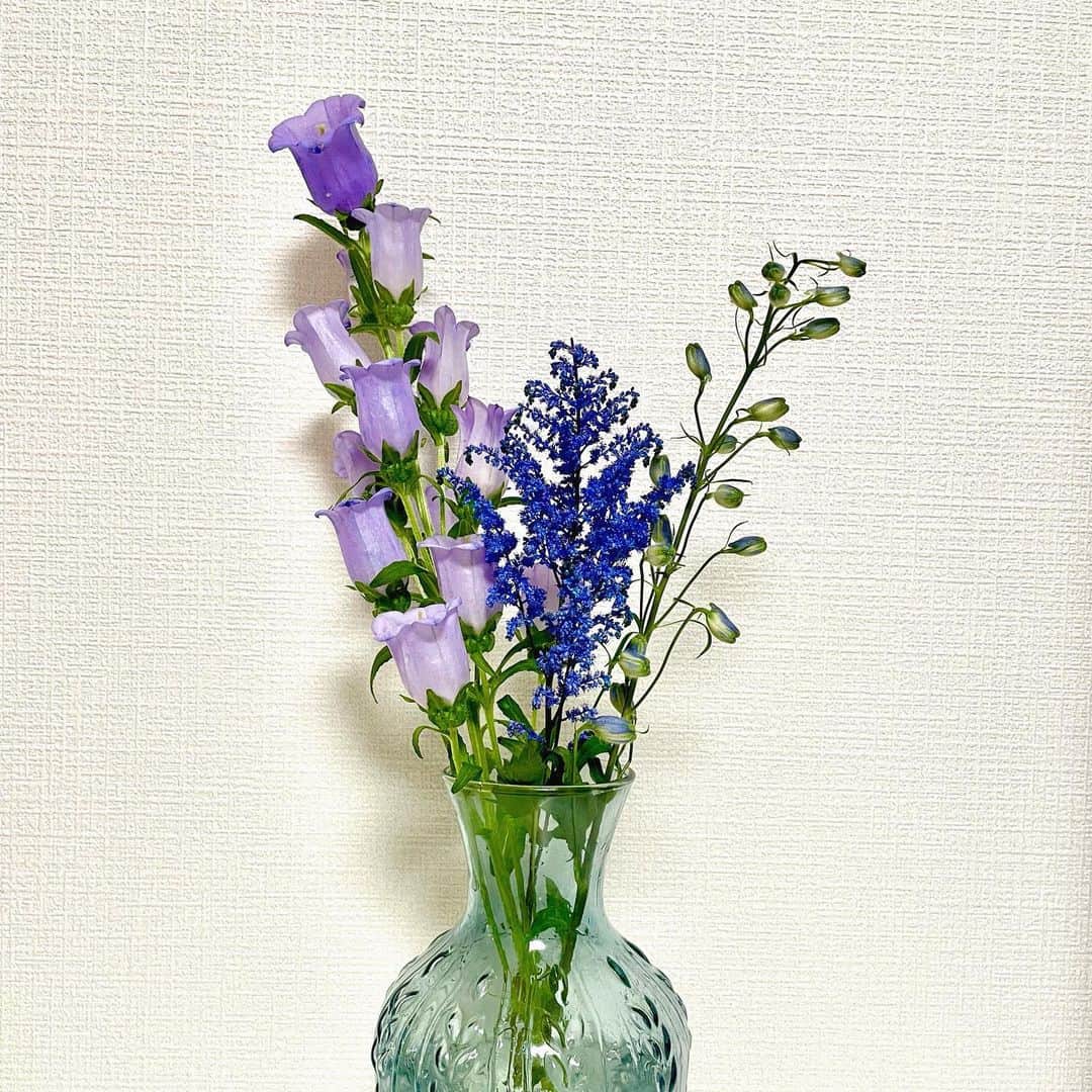 長江愛美さんのインスタグラム写真 - (長江愛美Instagram)「🪻💜💙💚  #flowers #お花のある暮らし」4月28日 14時47分 - manamin.512