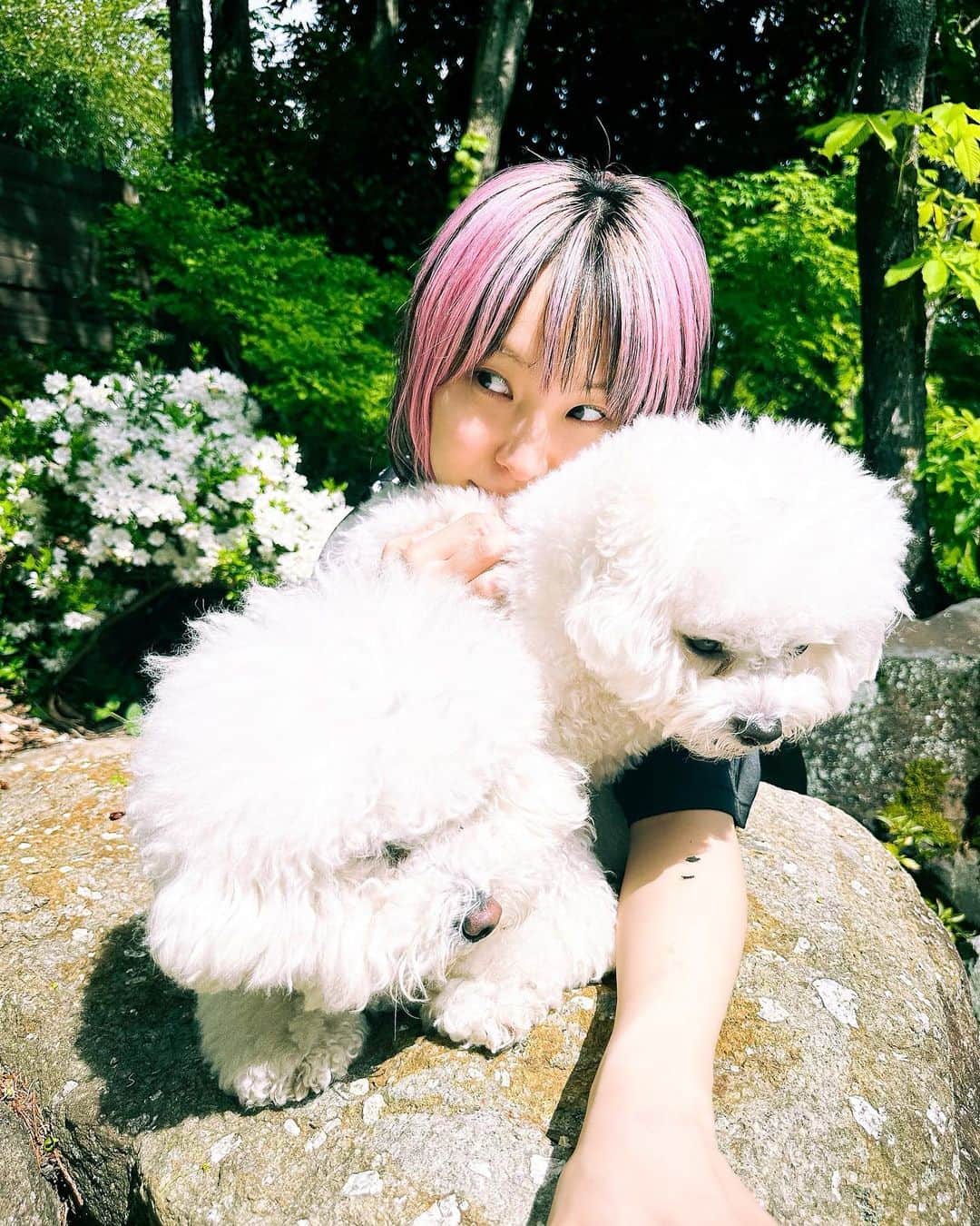 LiSAさんのインスタグラム写真 - (LiSAInstagram)「今日は実家の愛犬しらたまのお誕生日です🎂🐶 たまちゃん5歳おめでとう🎉🐶 @xatsuko_olivex」4月28日 20時19分 - xlisa_olivex