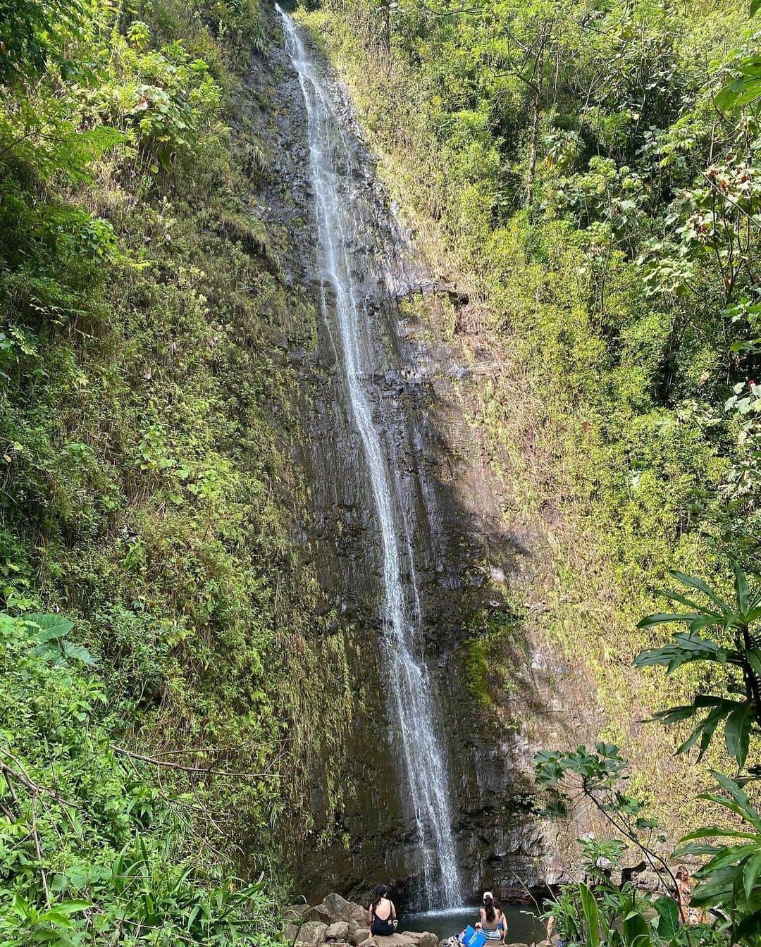 井上奈保さんのインスタグラム写真 - (井上奈保Instagram)「🌳🌿🦎🌱🌲🪲 何度も訪れているHawaiiですが まだ行ったことないところに行ってみようと マノアの滝にhikingしに来たら 中々なjungleでした！ わぁ、自然は本当にすごいね 改めて大切にしたいなぁと。  4枚目がとっても感動的だったのだけど 写真では全然何も伝わらなくて残念🥲  #hawaii #manoafalls」4月28日 15時17分 - inouenaho1207