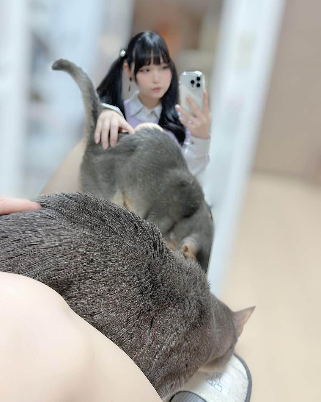 あまつ様さんのインスタグラム写真 - (あまつ様Instagram)「🐈‍⬛ ⁡ ⁡ ﾈｺﾁｬﾝに邪魔され続けるあまつ…🐈 ⁡ ⁡ #あまつまりな #あまつ様 #セルフィー #私服」4月28日 15時18分 - r_ap82_