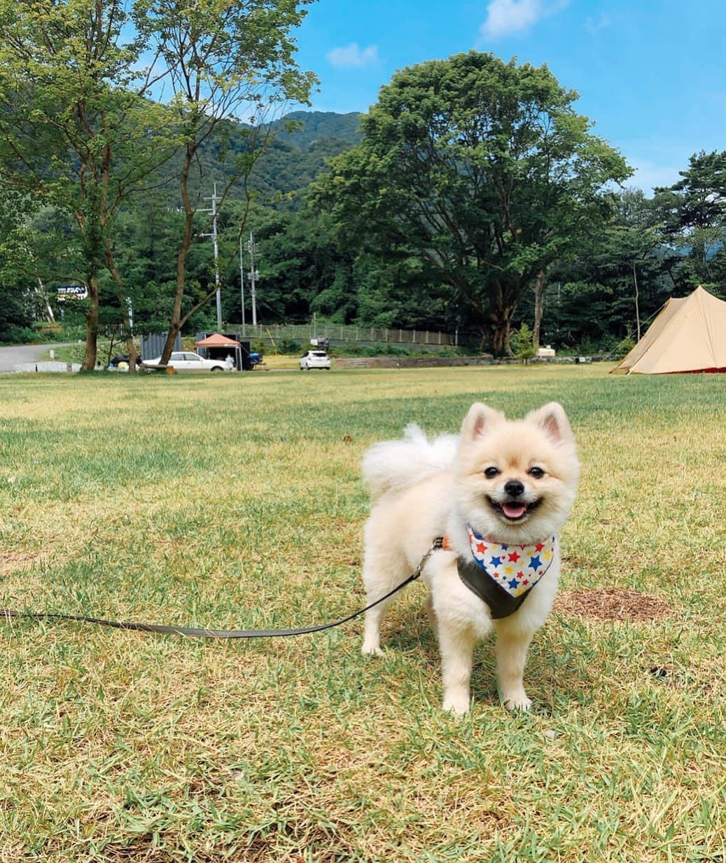 篠崎愛のインスタグラム