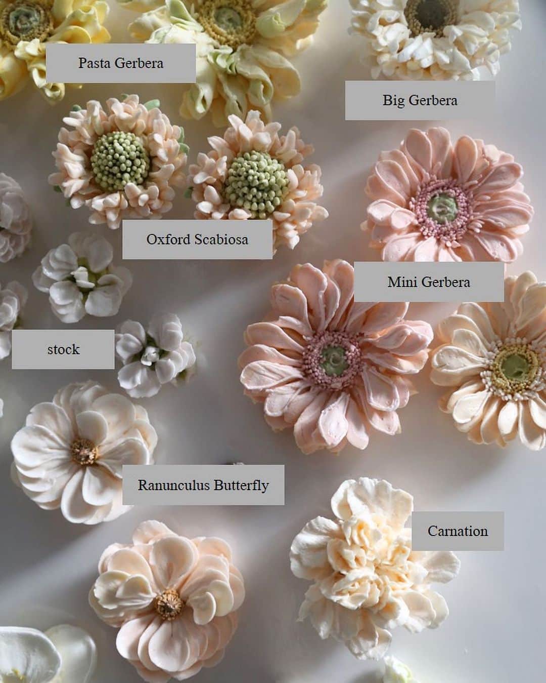 청담 수케이크 (atelier soo)のインスタグラム：「ㅡ Piping master class ⚜️ 원리와디테일ㅡ오랜시간 찬찬히지속적으로자세히보니보였던법칙과원리들,선과면이아름다운 내가애정하는꽃들모음 🤍  #파이핑심화반 #sooclass」