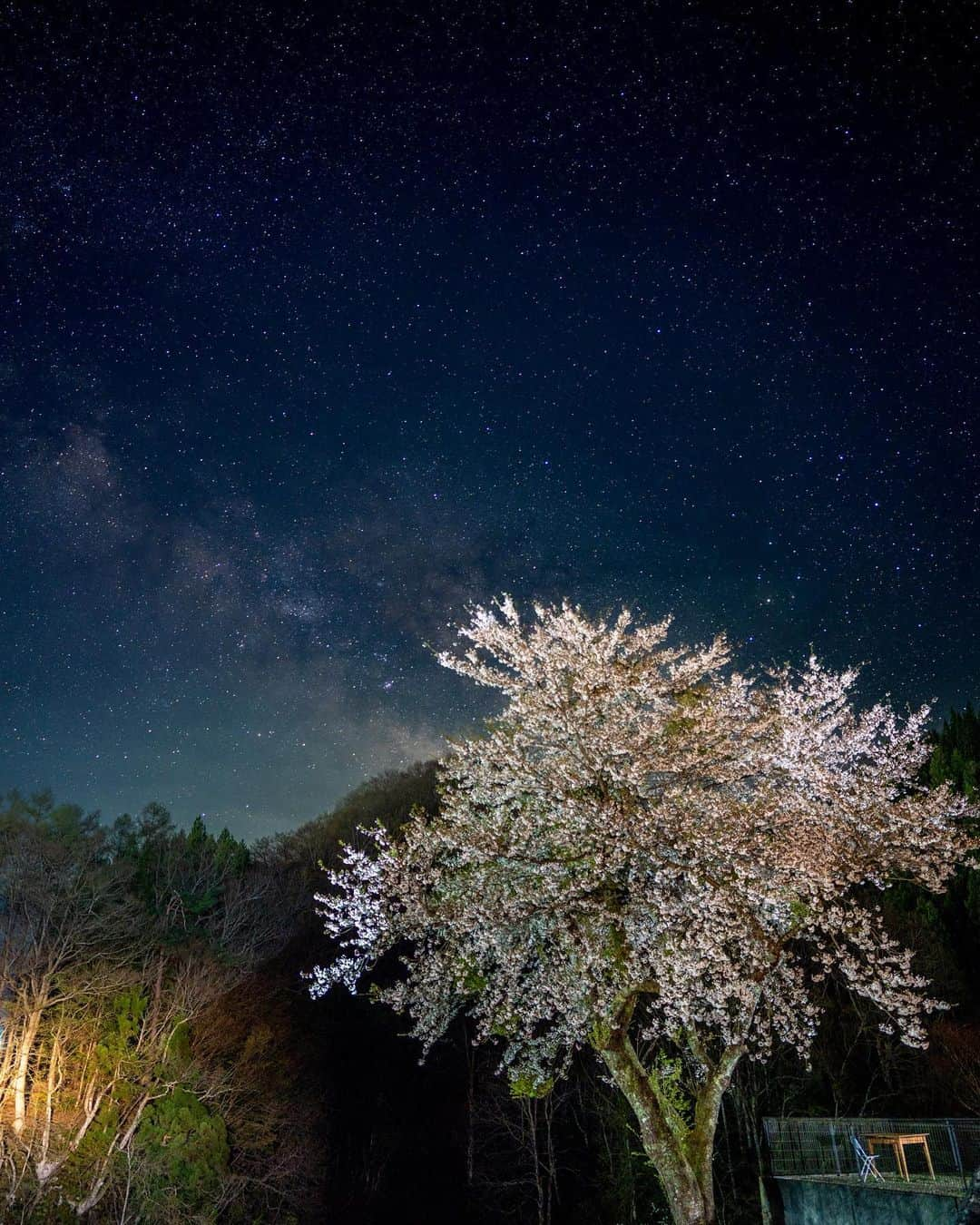 山人のインスタグラム：「今日は西和賀町の夜桜を紹介✨ 天の川も映ってくれました〜 この写真を撮りながら耳ではフクロウの声が！「ホッホッホー🦉」 いつか撮影させていただきたいです🥹   #西和賀 #無地内 #安ヶ沢 #ほっとゆだ駅 #あやめ公園 #前向きに #山人 #yamado #桜 #四季 #春 #spring  #宝 #自然  #盛岡市 #お花見 #東北の桜 #天の川 #夜桜 #星景写真 #宣伝 ↓通販サイトはこちら↓ https://shop.yamado.co.jp/  #鍋#お取り寄せ#お取り寄せグルメ#おうちで鍋#stayhome#おうち時間#おうちごはん」