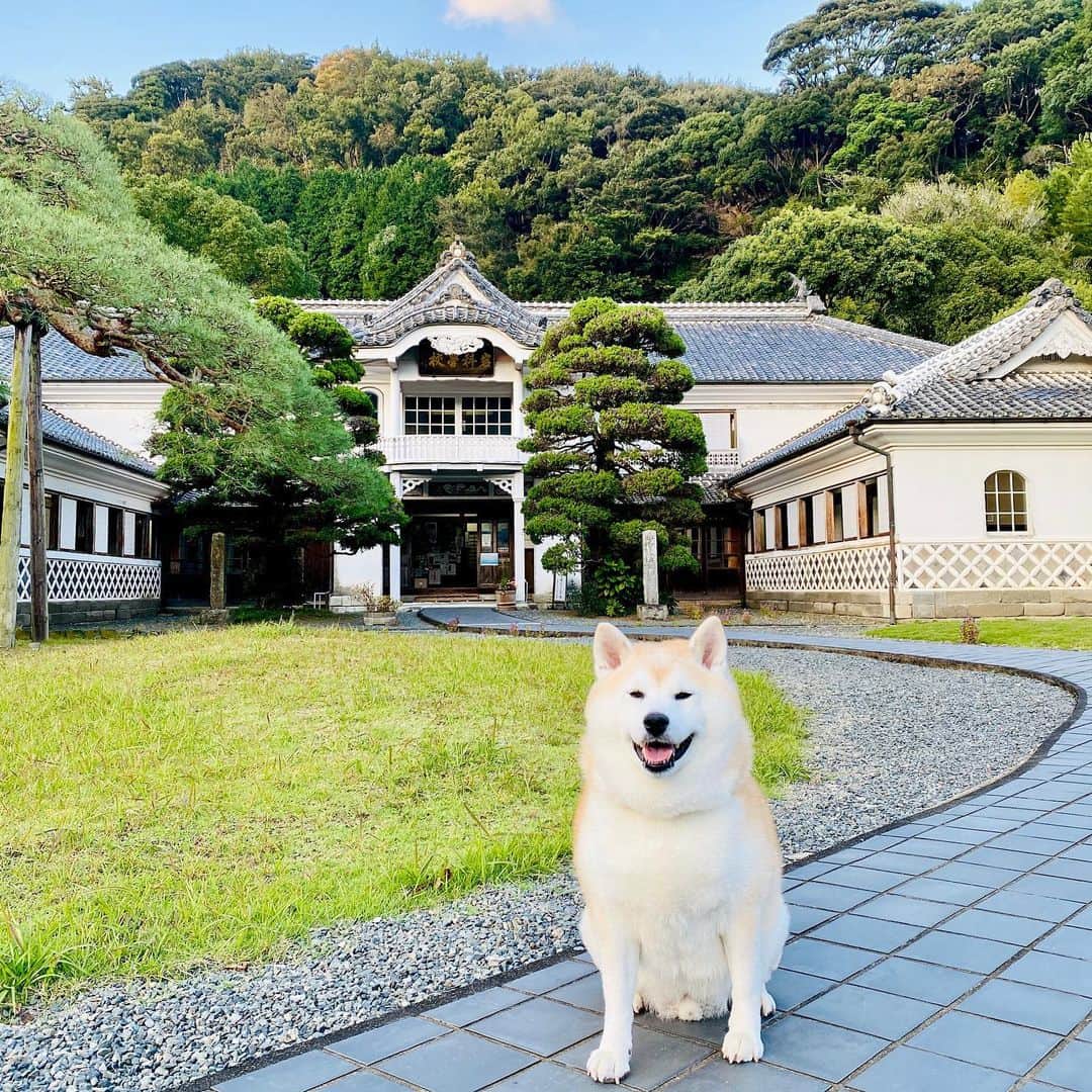 Kazumi-Gakumamaさんのインスタグラム写真 - (Kazumi-GakumamaInstagram)「西伊豆松崎町の「重要文化財岩科学校」🏫 (ｼﾞｭｳﾖｳﾌﾞﾝｶｻﾞｲｲﾜｼﾅｶﾞｯｺｳ) *  今回は犬の岳を伴った為、入館は叶いませんでしたが、松崎に行くと必ず訪れるほど好きな観光スポットです。 *  なまこ壁をいかした、社寺風建築様式とバルコニーなど洋風を取り入れた伊豆地区最古の小学校です🎒 *  正面玄関に掲げられてある「岩科学校」の扁額は、時の太政大臣三条実美(さんじょうさねとみ)の書で、その上の龍は入江長八が棟梁の「のみ」を借りて彫ったと伝えられています。 *  作法や裁縫の授業にも利用されていた2階客室の西の間の欄間には、名工入江長八によってほどこされた美しい千羽鶴が、一羽一羽形を変えて描かれています✨ この千羽鶴は左官技法と色彩技法を巧みに融合させた長八作品の傑作です。  お問合せは、#松崎町観光協会 まで ℡ 0558-42-0745 🐾----*----*----*----🐾  "Iwashina School, an Important Cultural Property" in Matsuzaki-cho, Nishiizu. * I was unable to enter the museum this time because I was accompanied by my dog, Gaku, but it is one of my favorite sightseeing spots that I always visit whenever I go to Matsuzaki. * It is the oldest elementary school in the Izu district that incorporates Western-style architecture such as shrines and temples and balconies, making use of namako walls. * The horizontal plaque of “Iwashina School” at the front entrance is the calligraphy of Sanjo Sanetomi, Daijo-daijin (Grand Minister of State) at the time.  It is said that Chohachi Irie borrowed the chisel from the master carpenter to carve the dragon on the horizontal plaque. * In the transom of the west room of the guest room on the 2nd floor, which was also used for etiquette and sewing classes, the beautiful 1000 paper cranes made by master craftsman Chohachi Irie are painted in different shapes one by one. is a masterpiece of Chohachi's work that skillfully fuses plastering and color techniques. 🐾----*----*----*----🐾 #柴犬 #岳 #柴犬岳 #柴犬ガク#gaku #shibainugaku #shiba #shibainu #shibastagram #いぬすたぐらむ #dogsofinstagram #ワンフルエンサー  #hermoso  #柴犬岳の #松崎町 #伊豆まつざき #伊豆まつざきたのしー #松崎町観光協会 #静岡県 #静岡県観光協会 #静岡観光 #しずおか元気旅 #まちなか散策 #なまこ壁 #鏝絵 #岩科学校 #重要文化財 #入江長八 #三条実美 #20230428」4月28日 16時38分 - shibainu.gaku