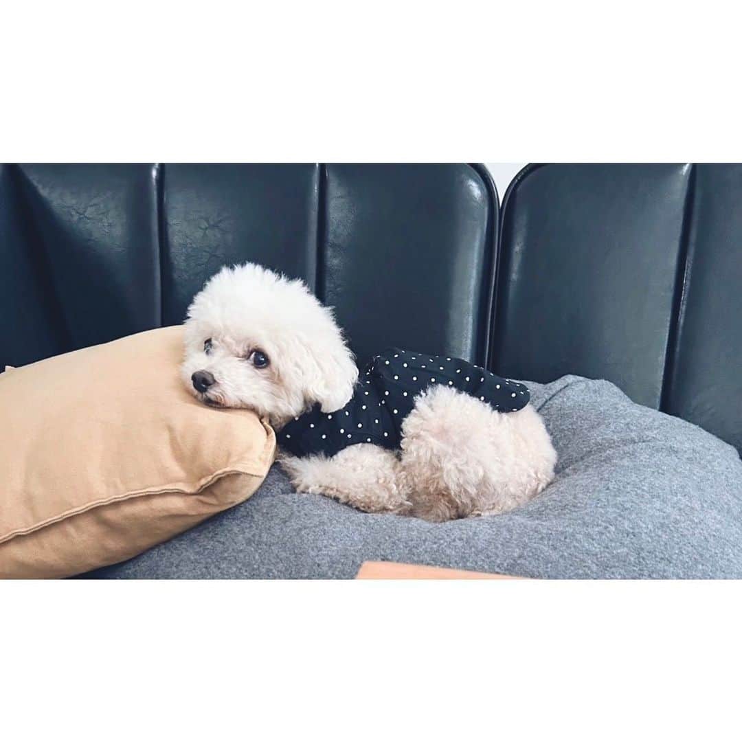 mizuのインスタグラム：「しらーっとされても好き♡」