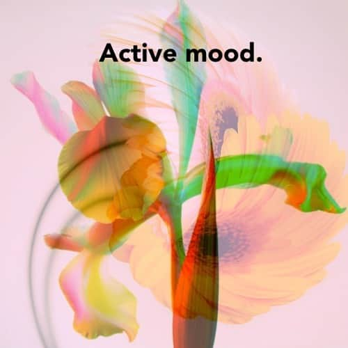 DJ LICCAのインスタグラム：「New spotify playlist♫ "Active mood." electronic, UK garage,breakbeats,acid techno,deep house...proactiveなsoundのplaylist◡̈ ジャンルとわず303、808、909のリズムマシーン使ったり、好きなシンセを使ってる曲に耳を奪われがち♡もちろんそれ以外もいろいろ。 こちらも毎週更新していくので是非興味のある方は聴いてください♩ 共感できる人がいたら嬉しい◡̈ Link in bio!   ・ ・ ・ #dj #djlife #djlicca #music #electronic  #house #techno #acidtechno # breakbeats #japanesedj #japanesefemaledj  #femaledj #girlsdj #djane #asiandj #femaleproducer #instamusic #musicproducer #musicproduction #beatmaker #beatmaking #daw #naitiveinstruments #spotify #spotifyplaylist #electronics #ukgarage」