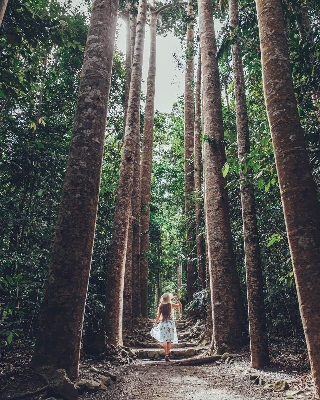 旅行比較サイト・トラベルコ 理想の旅を、いちばん安く。さんのインスタグラム写真 - (旅行比較サイト・トラベルコ 理想の旅を、いちばん安く。Instagram)「#ケアンズ / オーストラリア  4月28日から羽田―ケアンズ線にヴァージン・オーストラリア航空が新規就航！  仕事終わりにケアンズへ出発でき、帰国後も無理のないフライトスケジュール♩ 今年の夏は、世界遺産に囲まれた常夏の楽園へ行こう🌺.:*・゜  ━━━━━━━━━━━ 📍 #ケアンズ （オーストラリア） ━━━━━━━━━━━  Photo: Tourism Tropical North Queensland  ********** あなたが旅先で出合った素敵な風景に #トラベルコ または #travelko をつけて投稿してみてください📷 こちらのアカウントで紹介させていただくかも！  投稿を見て「行きたい！」と思ったら保存でクリップ。 フォロー＆いいねもお願いします🌟  ********** 国内海外1500以上の旅行サイトをまとめて比較！ 旅行の最安値を探すなら「トラベルコ」  プロフィール欄のURLから早速検索🔍 @travelko_official  #ケアンズ #オーストラリア #cairns #ヴァージンオーストラリア航空 #virginaustralia #グレートバリアリーフ #世界遺産 #クイーンズランド #queensland #ケアンズ旅行 #ケアンズ観光 #海外旅行 #海外の絶景 #japantrip #japantravel #絶景 #フォトジェニック #ファインダー越しの私の世界 #誰かに見せたい景色 #旅行好きな人と繋がりたい #写真好きな人と繋がりたい #旅行好き #旅 #旅行 #観光 #trip #travelko #トラベルコ」4月28日 18時00分 - travelko_official