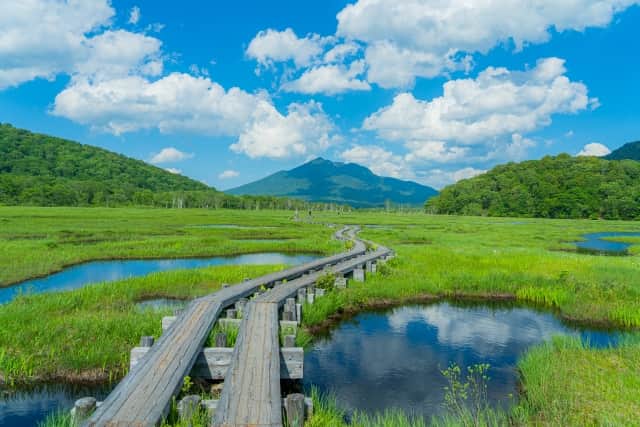TOBU RAILWAY（東武鉄道）のインスタグラム