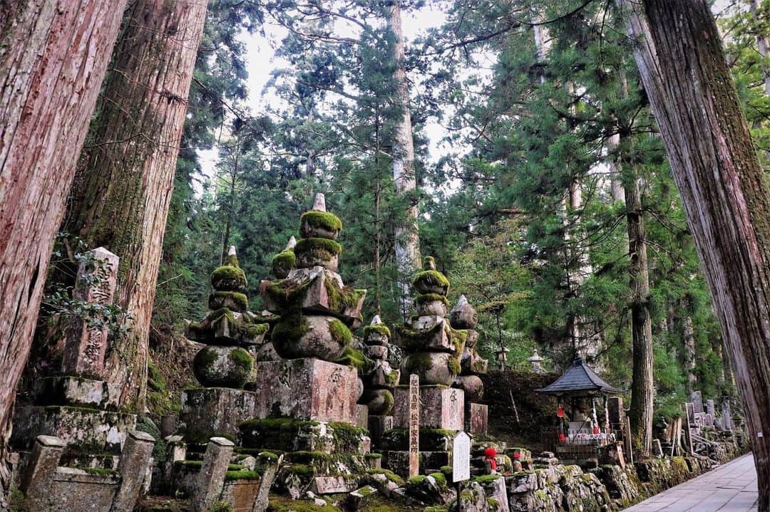 Visit Wakayamaのインスタグラム：「. Stroll through the solemn cedar forests to the sacred mausoleum of the priest Kobo Daishi at Okuno-in. 📸 @takashi.fujita.73 📍 Okuno-in, Wakayama」