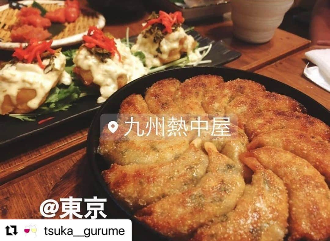 九州熱中屋さんのインスタグラム写真 - (九州熱中屋Instagram)「@tsuka__gurume 様にご来店いただいた際のお写真です♪  餃子とチキン南蛮🥟 最高の組み合わせですね😊   #九州熱中屋 #熱中屋駒込 #駒込グルメ #駒込九州料理 #駒込ディナー #グルメスタグラム #焼酎好きな人と繋がりたい #芋焼酎好きな人と繋がりたい #foodstagram #instafood #japanesefood #japaneseculture   #九州料理 #居酒屋 #駒込居酒屋 #東京グルメ　#駒込駅グルメ #駒込駅居酒屋 #駒込駅 #駒込飲み」4月28日 18時00分 - necchuya