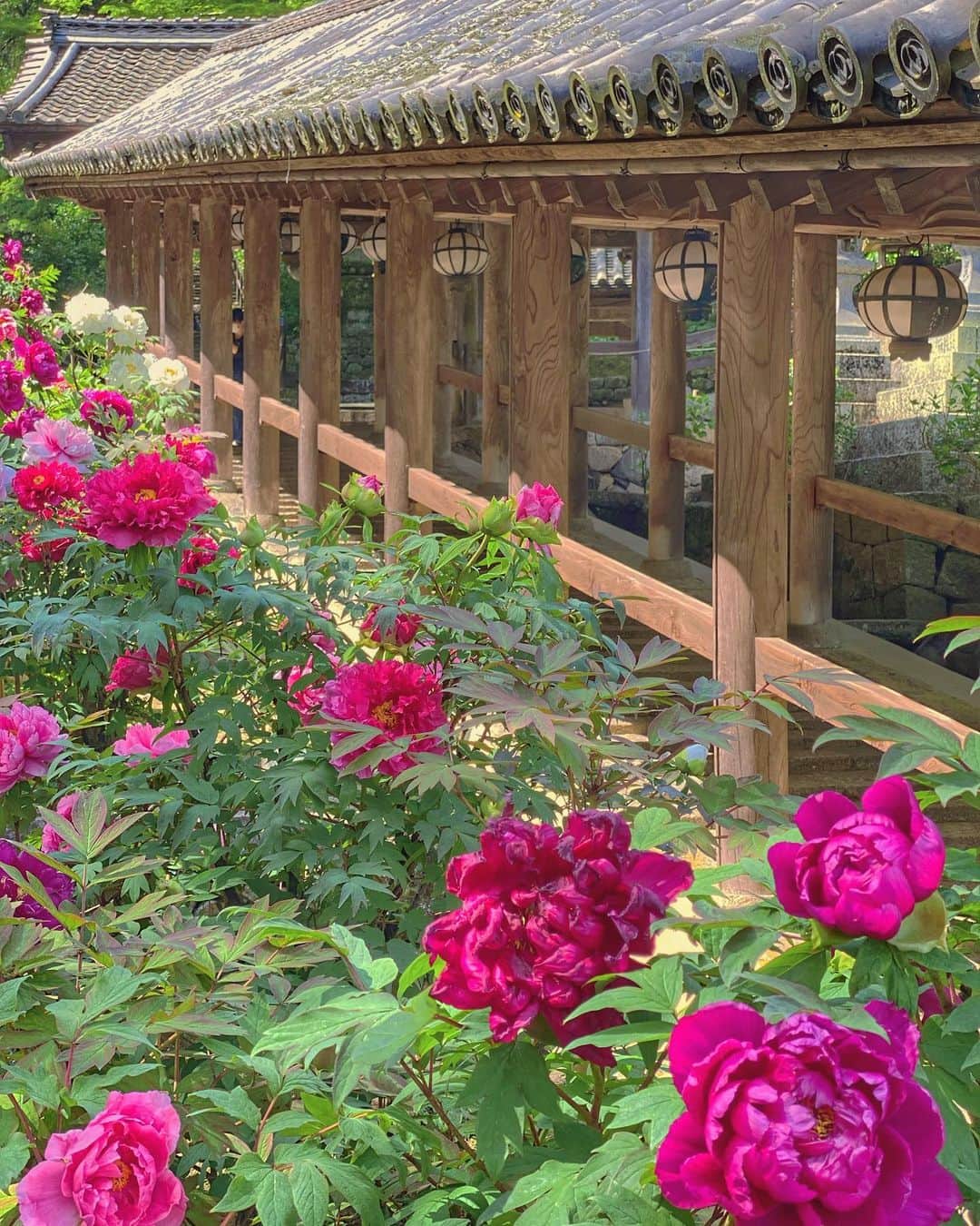 hama_aki_pppのグルメインスタ