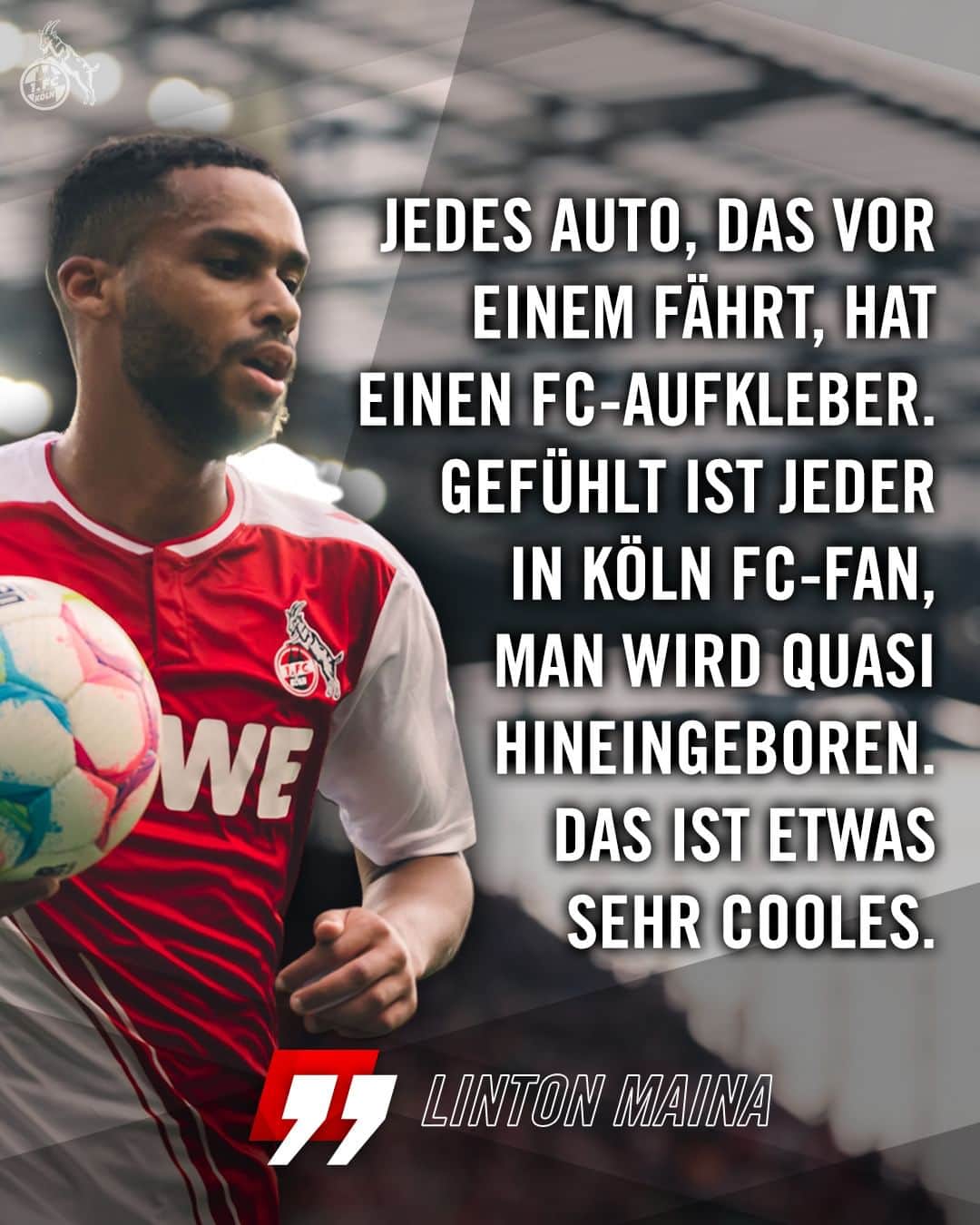1.FCケルンのインスタグラム：「🗣️💬 „Diese Euphorie für den Verein, wie hier beim FC, habe ich so noch nie erlebt. Einem wird die Strahlkraft des Clubs sehr schnell bewusst.“  Den Link zur kompletten Geschichte gibt es in der Story: 👉 @fckoeln  ____ #effzeh」
