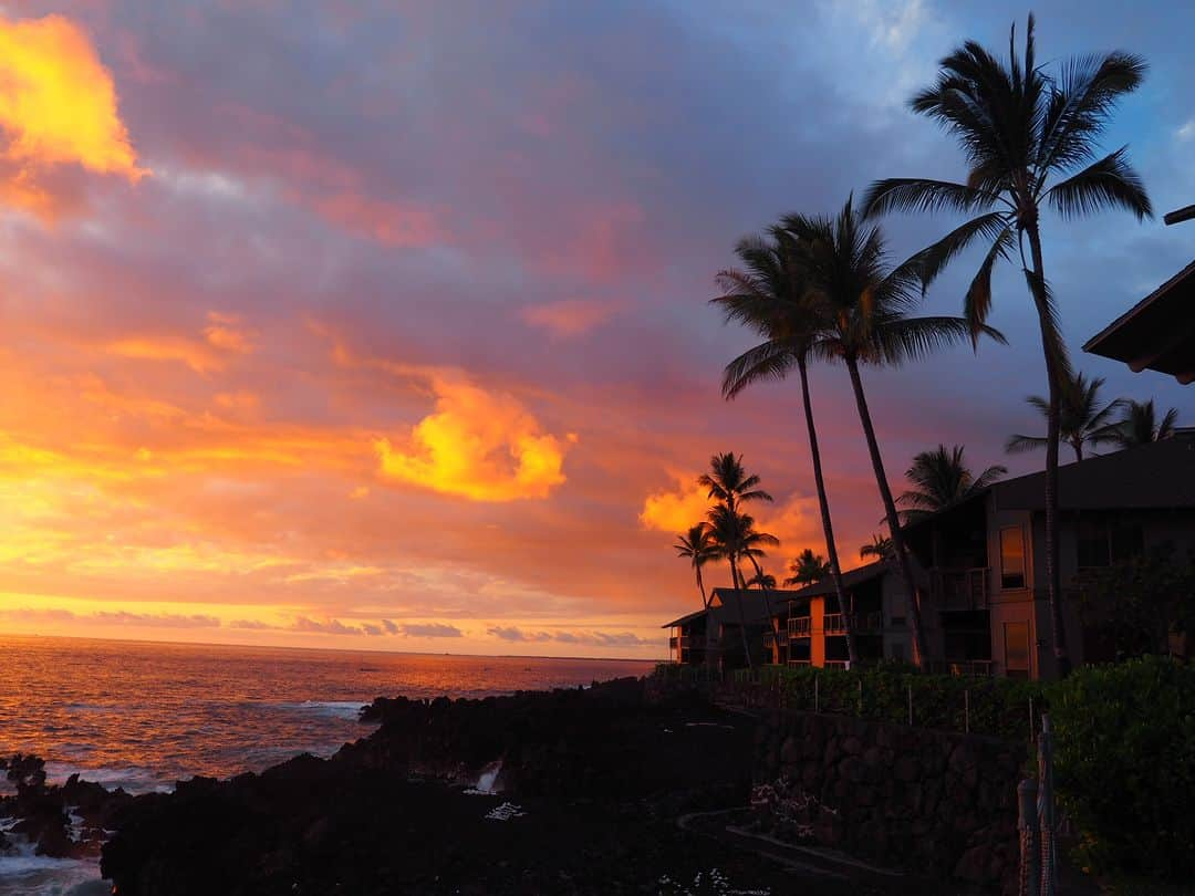 Trump Waikikiのインスタグラム：「Happy Aloha Friday!  #TrumpWaikiki #Paradise」