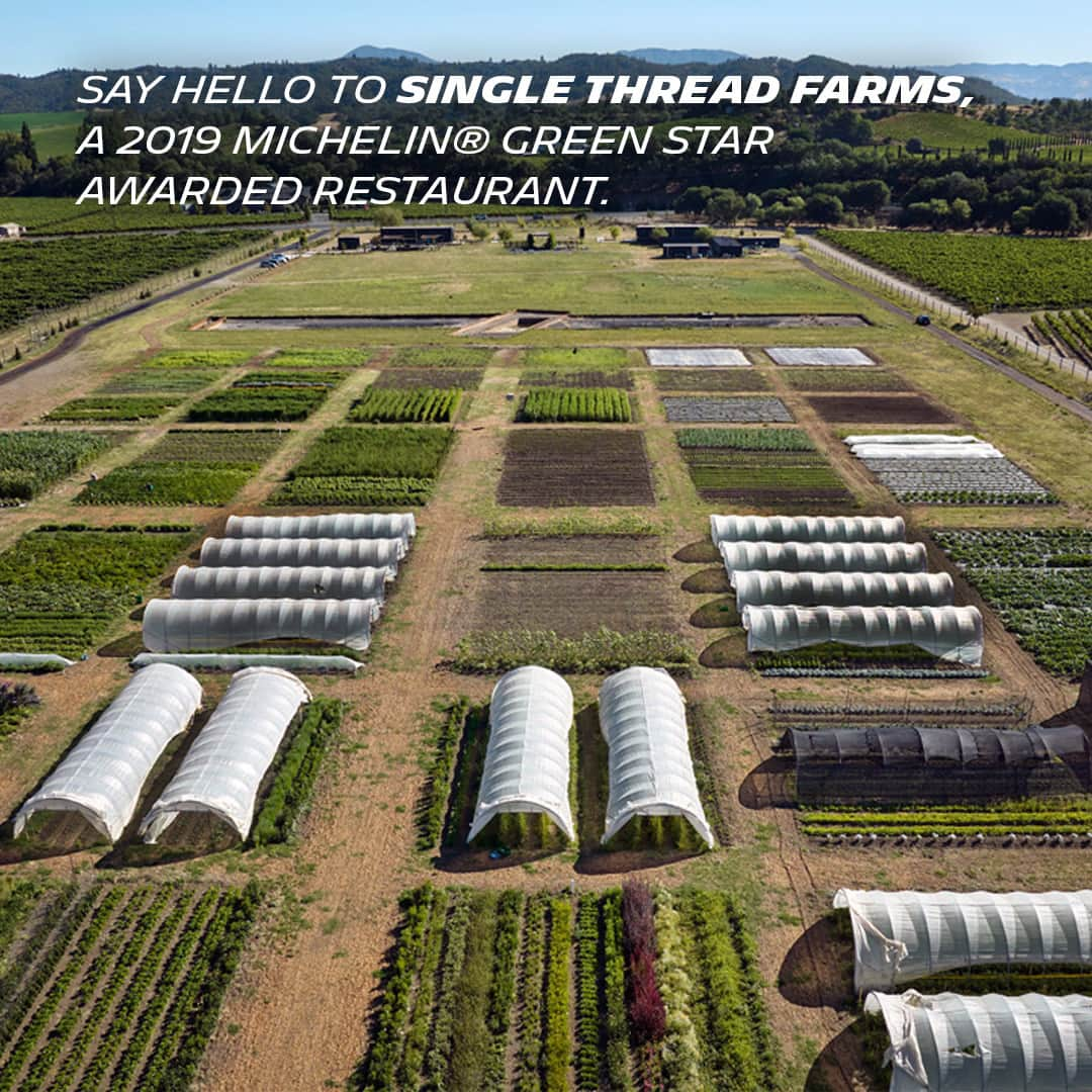 ミシュランのインスタグラム：「The MICHELIN® Green Star is awarded by @MichelinGuide to restaurants that devote themselves to #SustainableGastronomy. Make a trip to visit @singlethreadfarms and other MICHELIN® Green Star recipients for memorable dining experiences.」