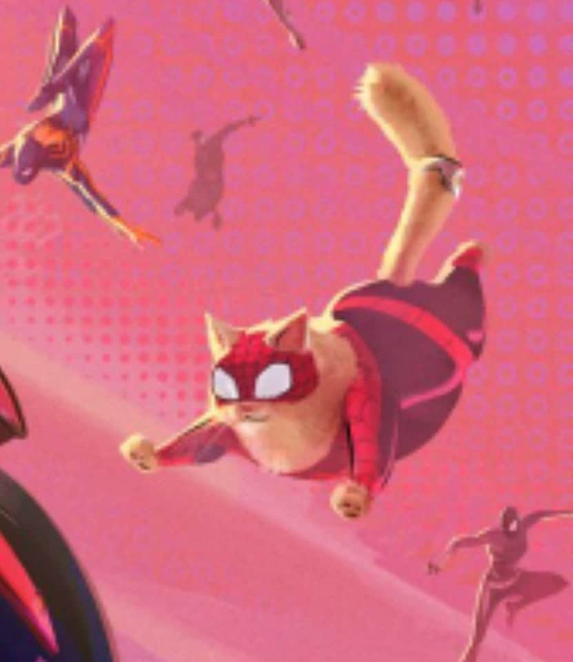 猫コスプレさんのインスタグラム写真 - (猫コスプレInstagram)「Wait-a-minute...  #SpiderMan #SuperHeroDay #spidermanacrossthespiderverse  . . . . . . #spidercat #catcosplay #cosplay #cosplayer #cat #catcostume #catsinclothes #petclothes #PetCostume #marvel #spidermanfans #spidermancosplay」4月29日 4時41分 - cat_cosplay