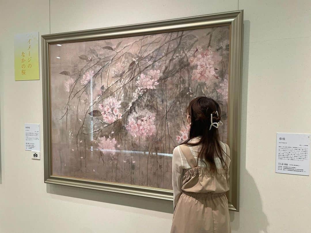 須賀由美子さんのインスタグラム写真 - (須賀由美子Instagram)「#桜 #さくら市ミュージアム で現在開催中の #SAKURA展 とても素晴らしかったー🌟 今年の桜は早かったけど、 まだここならお花見間に合うよ🌟 青森や京都や福島など、 日本中の桜🌸をみられたーー！！ 同じ桜を描くにしても、 それぞれこうも表現が違うのかと びっくり‼️  どの作品もそれぞれ美しく、 桜を愛でる気持ちに溢れている。 全部違って全部いい。(金子みすゞみたい笑笑😆) 日本画ならではの美しさも堪能。 四季の花々もよかったー！ こちらの展示は5月21日まで開催だそう🌟 GWのおでかけにぜひ！」4月28日 20時34分 - tottiyumi