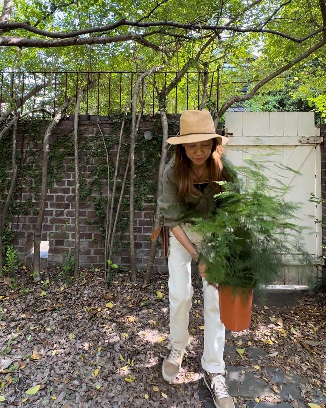 唐津裕美さんのインスタグラム写真 - (唐津裕美Instagram)「大谷桃子  植物鉢展 "PLANTERS" 4月22日(土)～4月30日(日) 最終日4月30日(日)13:00-17:00頃まで桃ちゃん在店予定🌿  桃ちゃんの初めての植木鉢展示会。 なんと初日1時間で完売してしまいましたが、予定していた展示会期間中、植木鉢は展示したままなので、ぜひこの貴重な機会にサイズ感や質感を見に来てください。 これから定期的に開催できればいいねと桃ちゃんと話しています。  器はあと少し、植物はまだありますー🌿🌿  お問い合わせは直接TRUCKまで 📞06-6958-7055  @otnmmk  #trucknest #truckfurniture  #birdcoffee @truckfurniture  @truckfurniture_online  @bird_coffee_osaka」4月28日 20時36分 - h_i_r_i_n_k_o