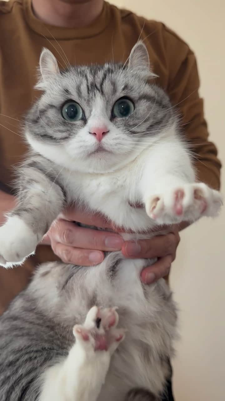 こむぎこまるのインスタグラム